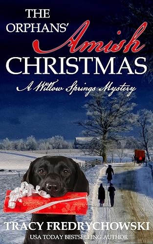 The Orphans’ Amish Christmas: A Willow Springs Amish Mystery Novella
