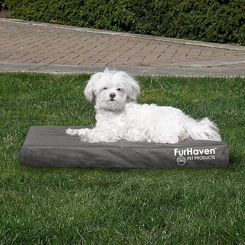 Miniatura 3 de Furhaven Cama ortopédica para perros pequeñosmedianos de hasta 35 libras, resistente al agua, funda extraíble lavable, lona de poliéster, logotipo,