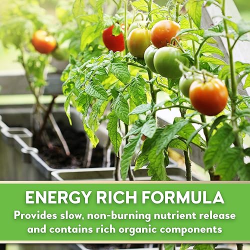 Miniatura 8 de Seedlingers L-PF-032-C Fertelixir - Concentrado de 32 onzas