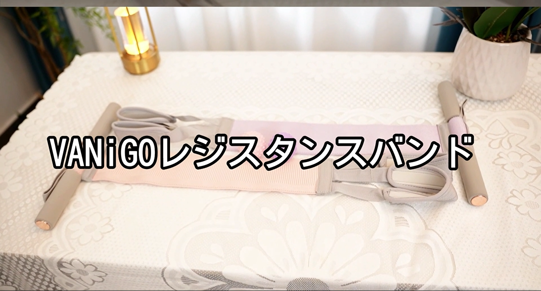 Amazon.co.jp: VANiGO (ヴァニゴー) 布製レジスタンスバンド ハンドル