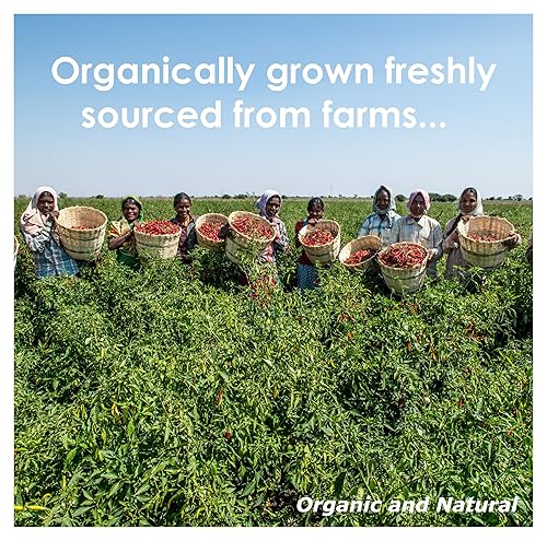 Miniatura 7 de Blessfull Healing Pani Puri Masala Orgánico 7.05 oz