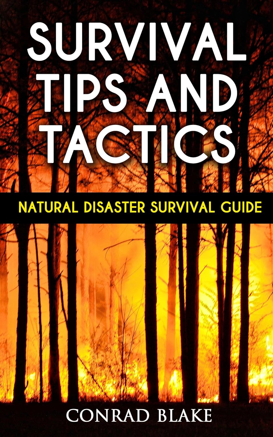 Survival Tips and Tactics Natural Disaster Survival Guide (Survival Prepping Guides