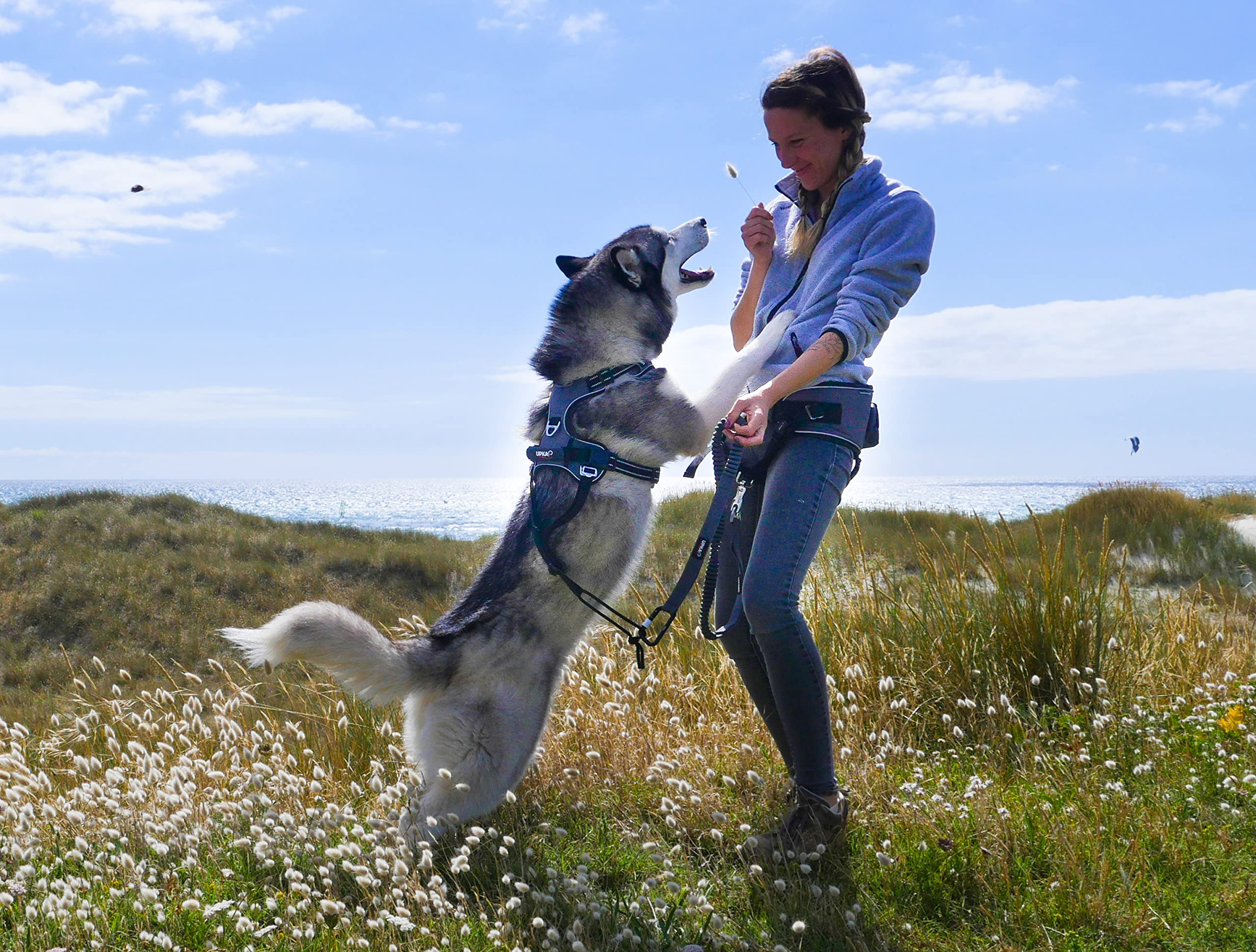 Arnés de perro estilo ultra versátil ideal para paseos en campo y paseos urbanos, con posibilidad de cani Jogging y anillo anti tracción delantero color gris (XXS)