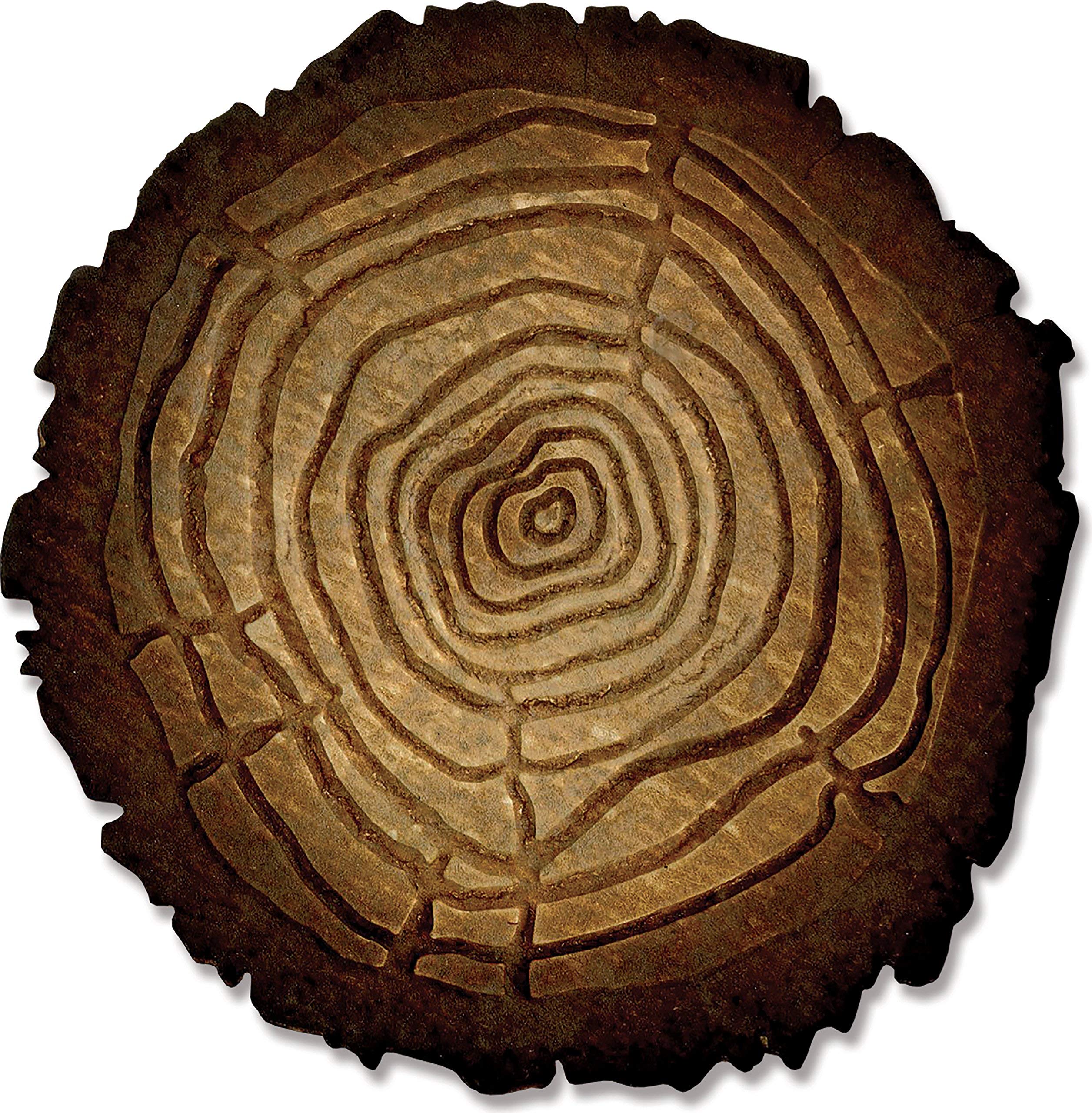 洋楽 SWIZ / NO PUNCHES PULLED (Jade Tree) Sizzix 662429 Tree Rings by Tim Holtz with Texture Fades