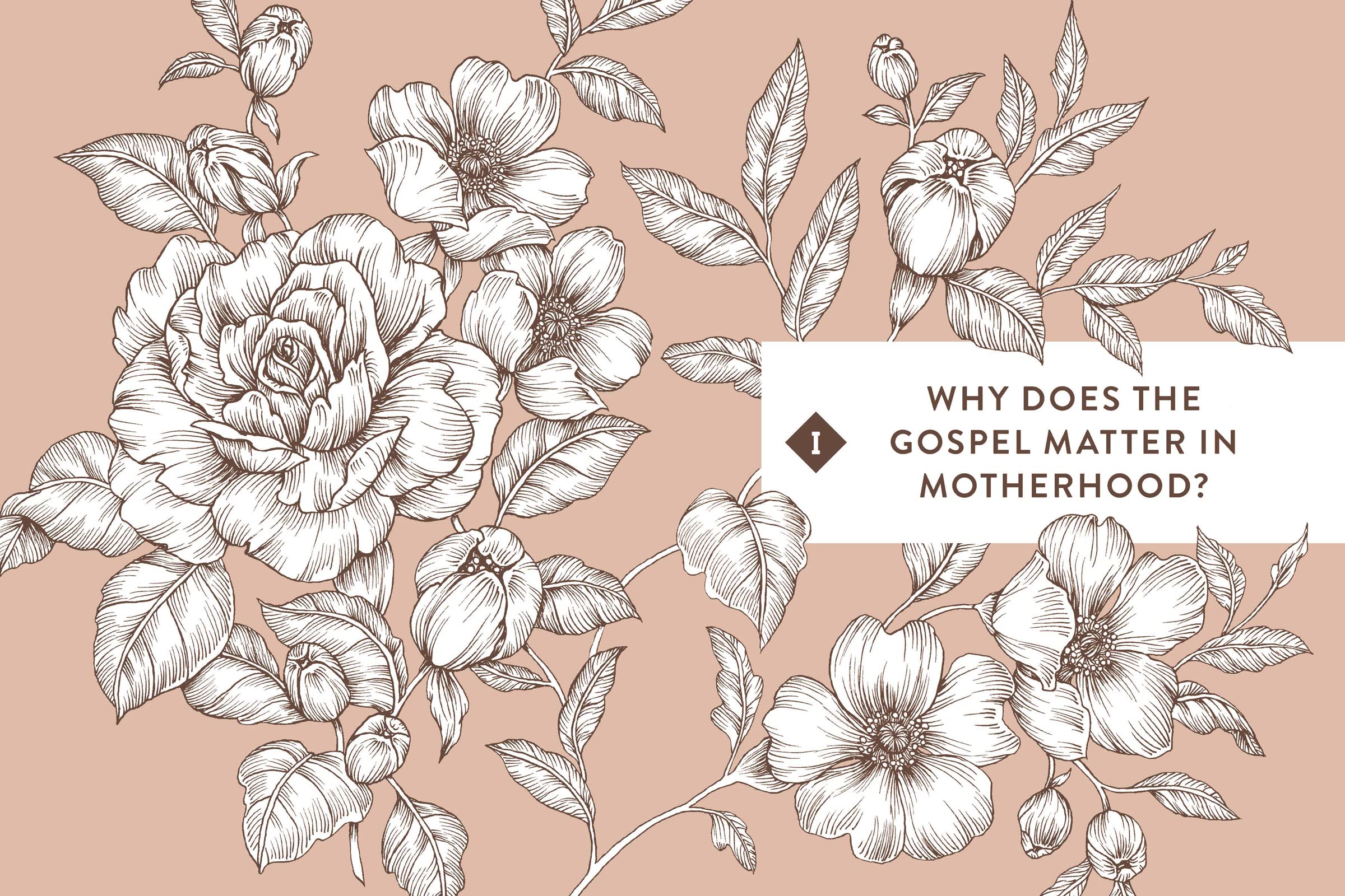 Risen Motherhood: Gospel Hope for Everyday Moments