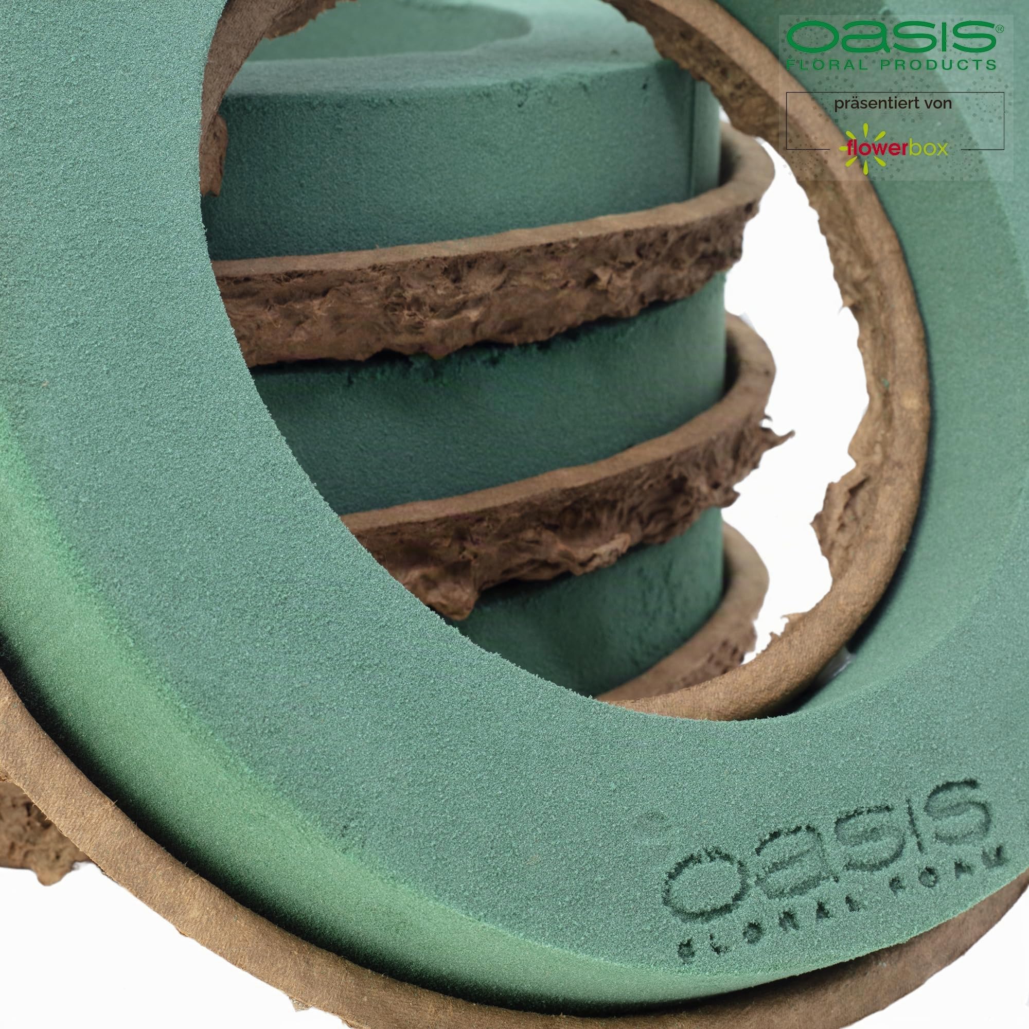OASIS Steckschaum BIOLIT Ring Ø24cm Steckmasse Steckschwamm - 4 Stück