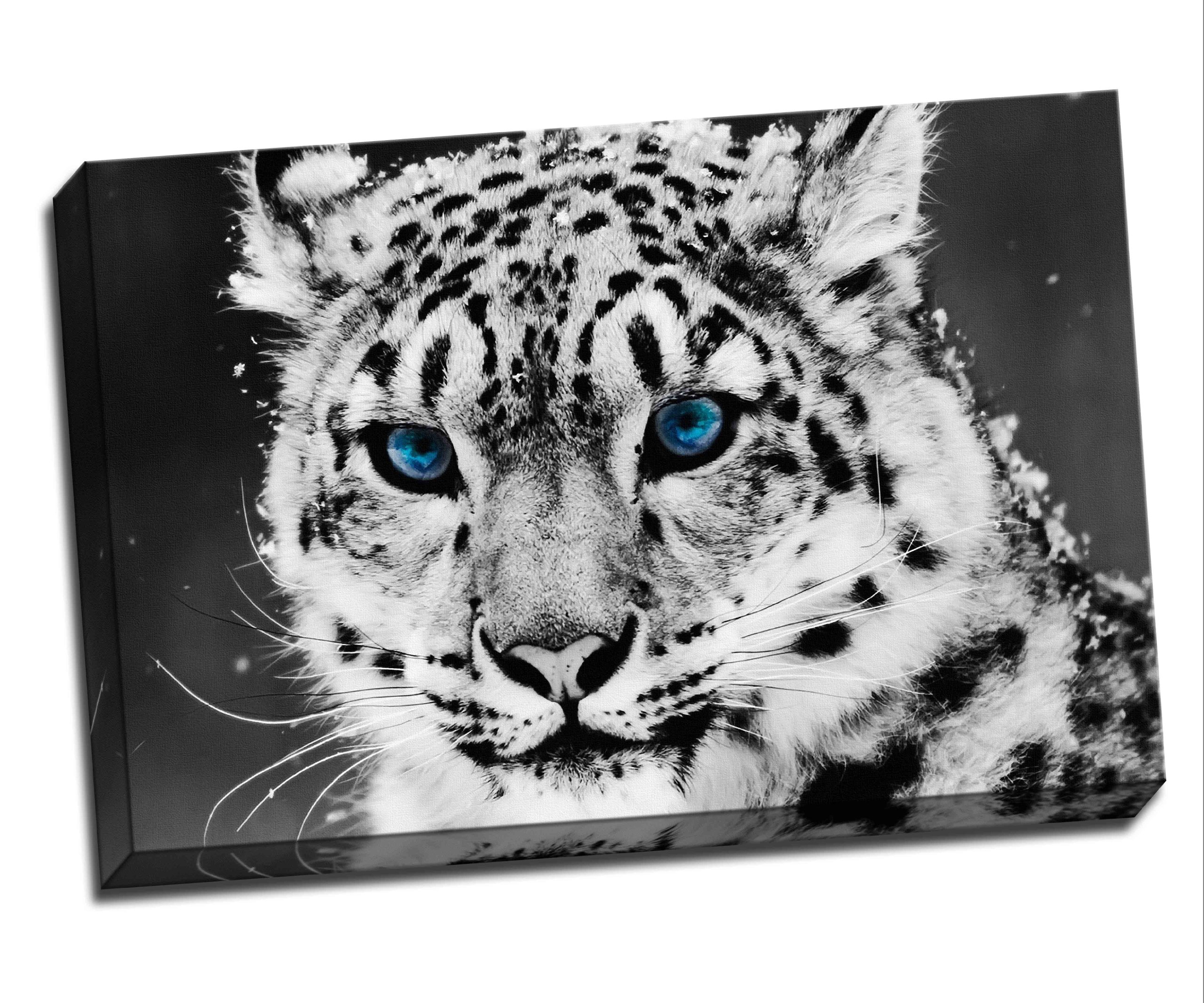 Blue Eyed Snow Leopard Canvas Art Print Poster 30"X 20" Inches