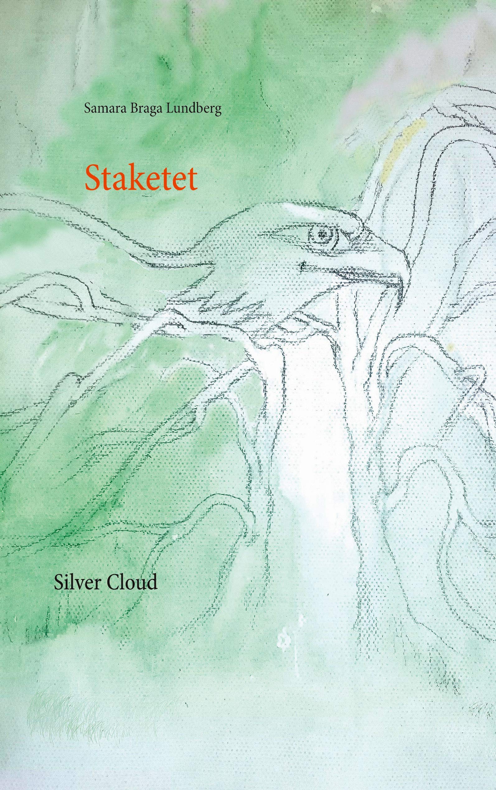 Staketet: SilverCloud
