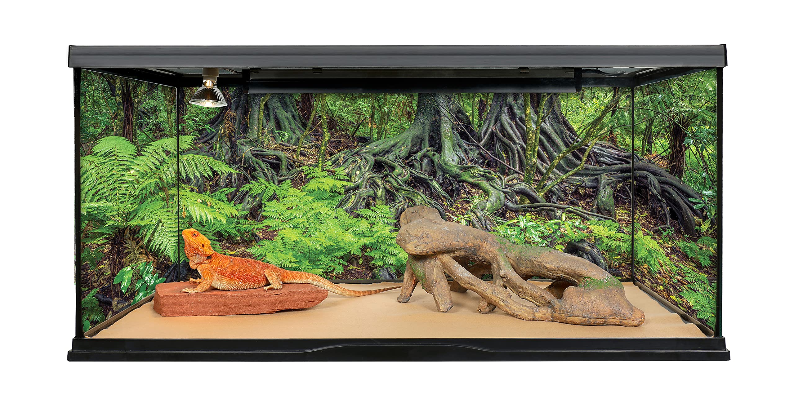 Reptile Habitat Background; Rain Forest Ferns & Roots, for Zoo Med 40 gal. 36Lx18Wx18H Terrarium, 3-Sided Wraparound