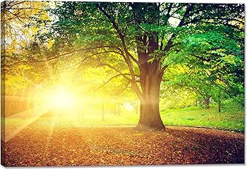 Amazon.co.jp: 森林 太陽 絵画 アートパネル 日光 ポスター 自然風景