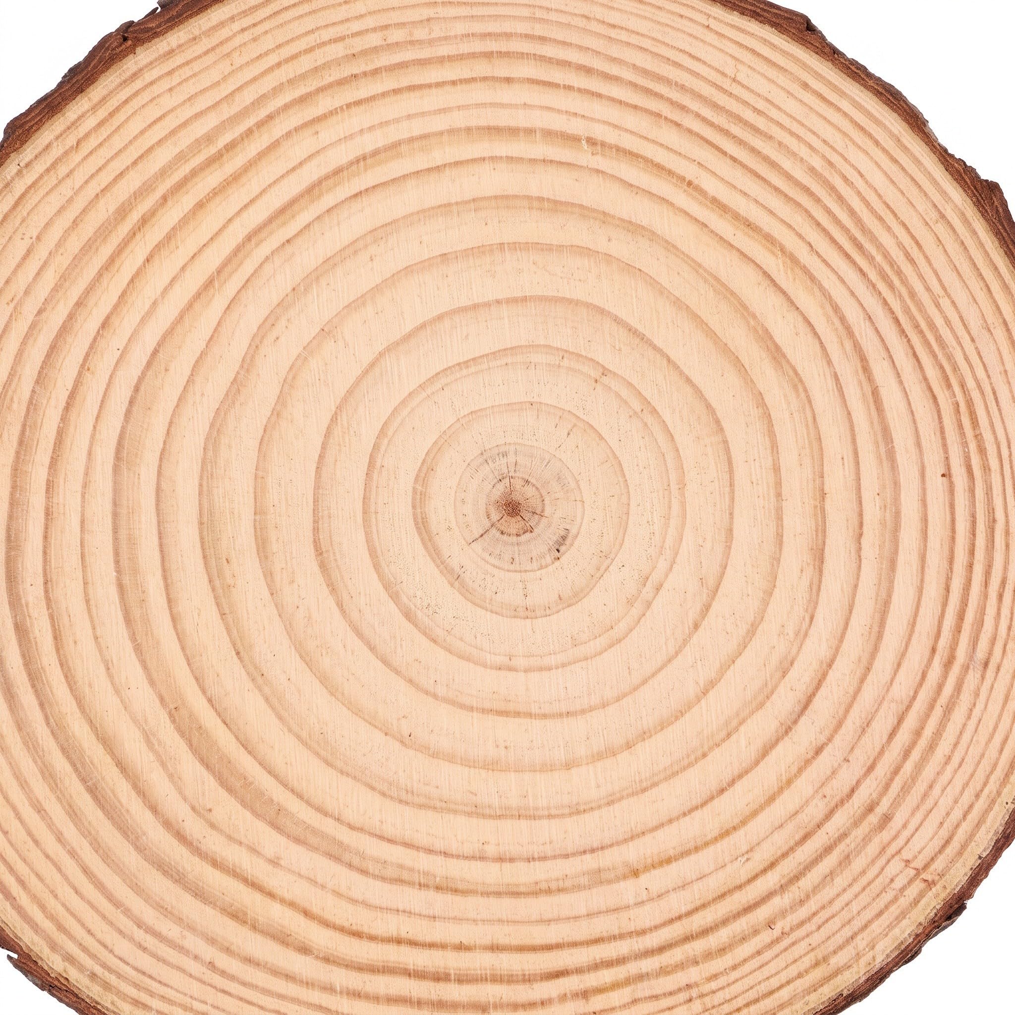 4 Pièces Pavé Extérieur Rond à Motif Bois, Pierre de Gué