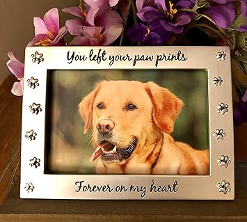 NewLifeLandia Pet Memorial Picture Frame for Dog or Cat Perfect Loss of Pet Gift for Remembrance and Healing