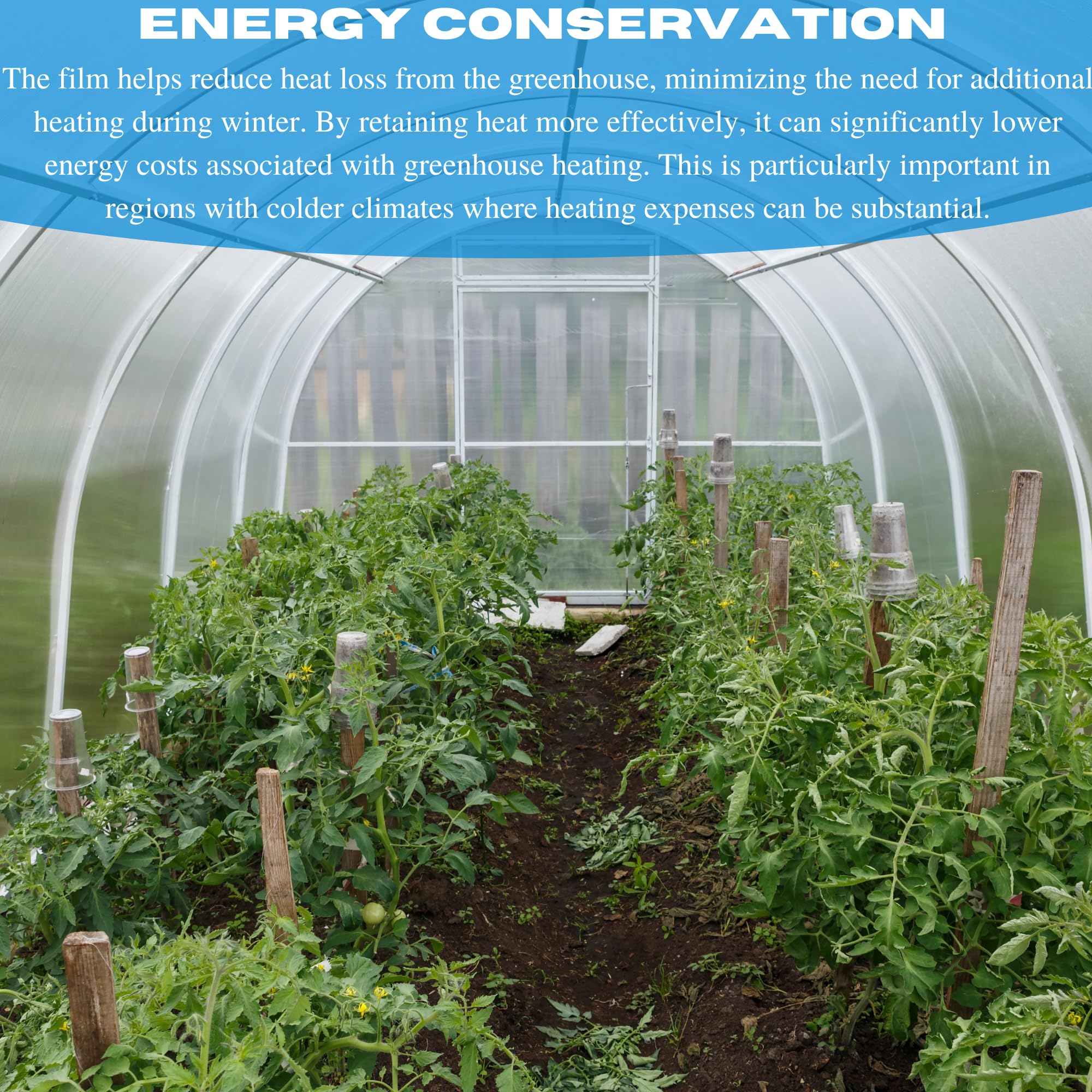 VBS - Protective Clear Overwintering Plastic Film - Overwintering Film, 6 Mil Clear Plastic Film, Greenhouse Plastic, Durable Plastic Sheeting, Clear Overwintering Film (6 mil 32' x 100')