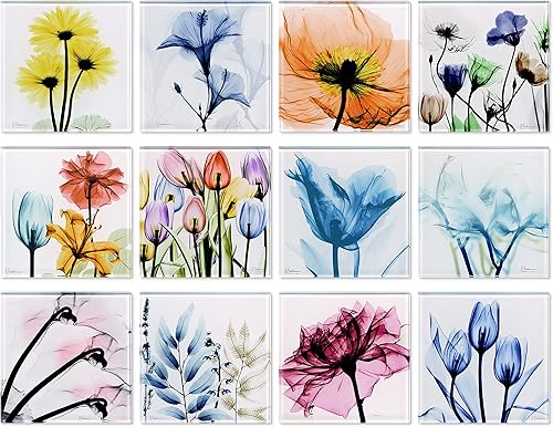 Empire Art Direct Albert Koetsier B1 - Juego de 12 posavasos florales de cristal para bebidas con fondo de corcho para protección de mesa