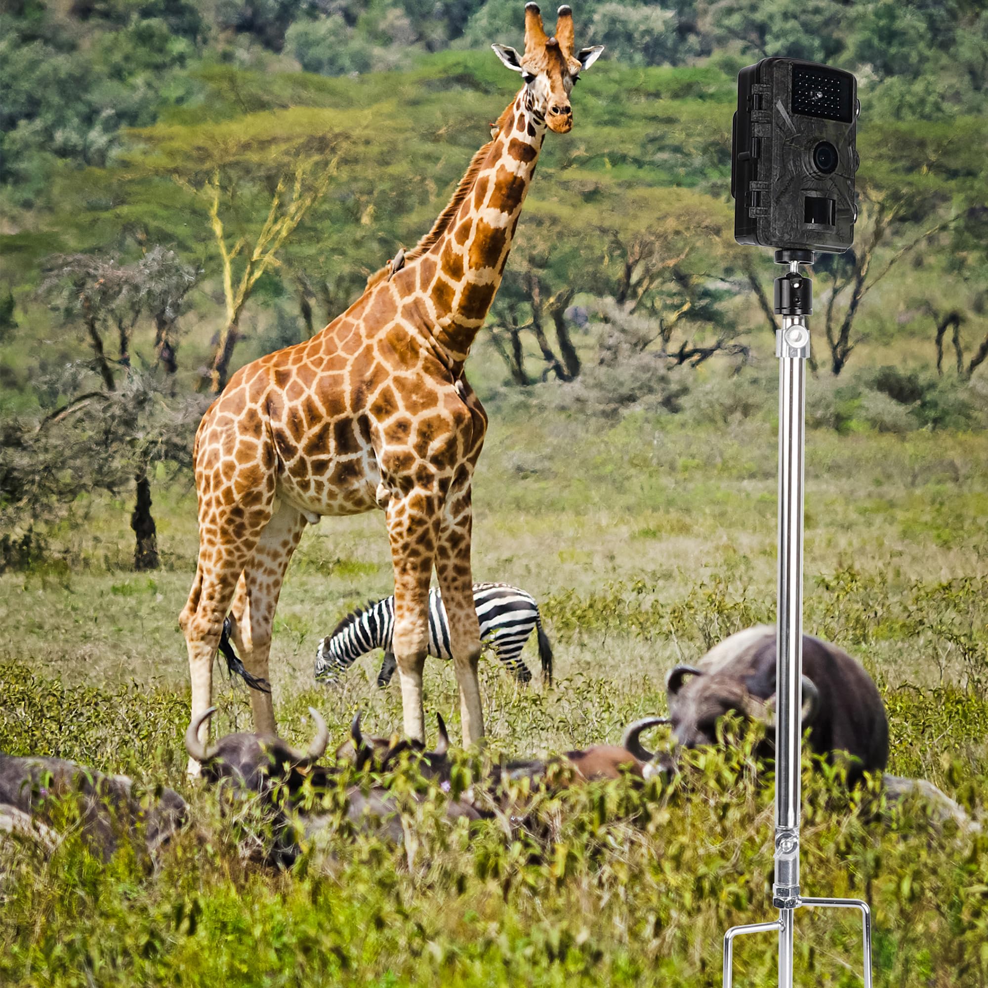 Adfitjo Game & Trail Camera Mount,Trail Camera Holder Ground Mount With 360 Degree Adjustable Universal Screw Connection 1/4''-20 (6mm), For Mounting Trail Cameras, Solar Panels, Gopro, Etc - View #11