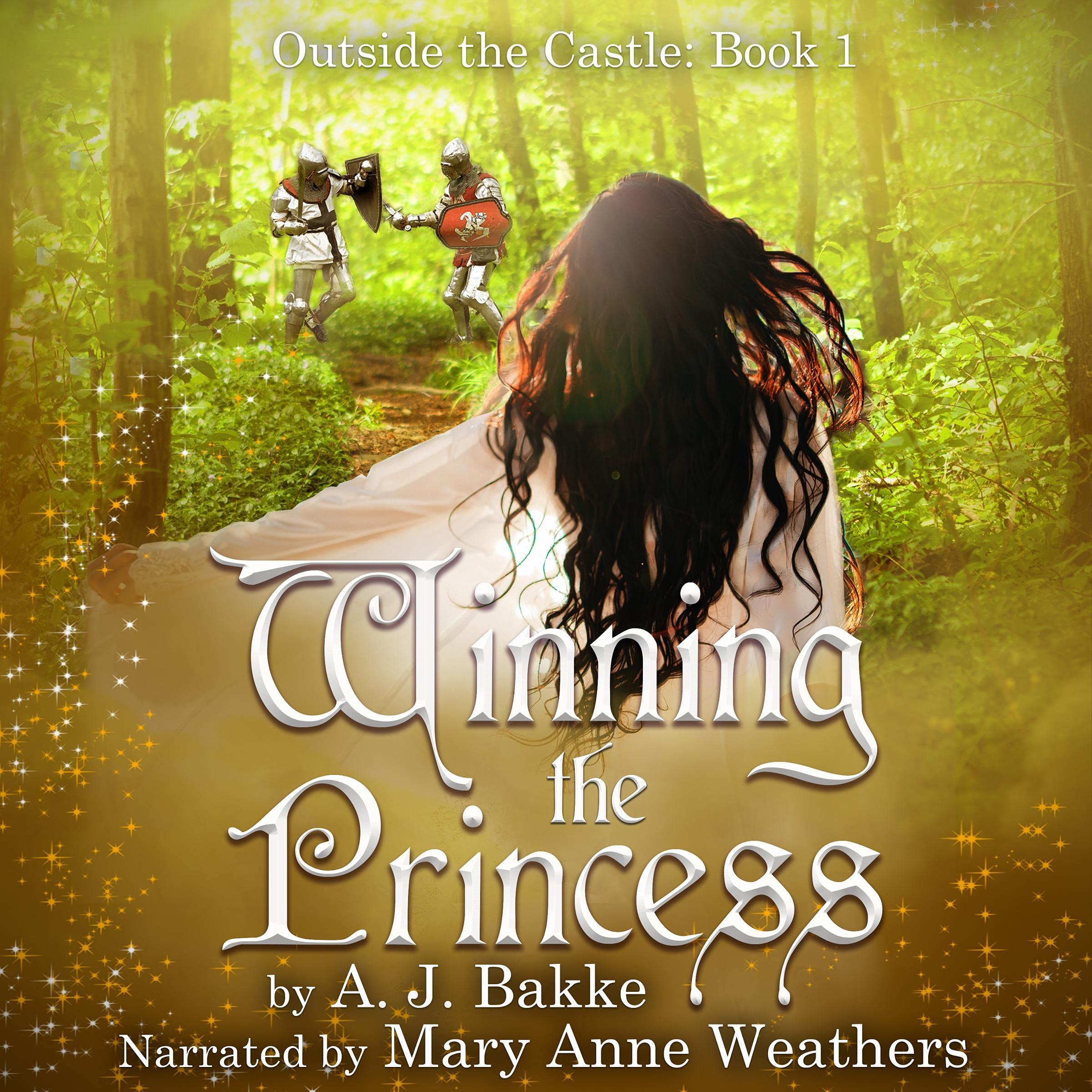 Cover art for Winning the Princess