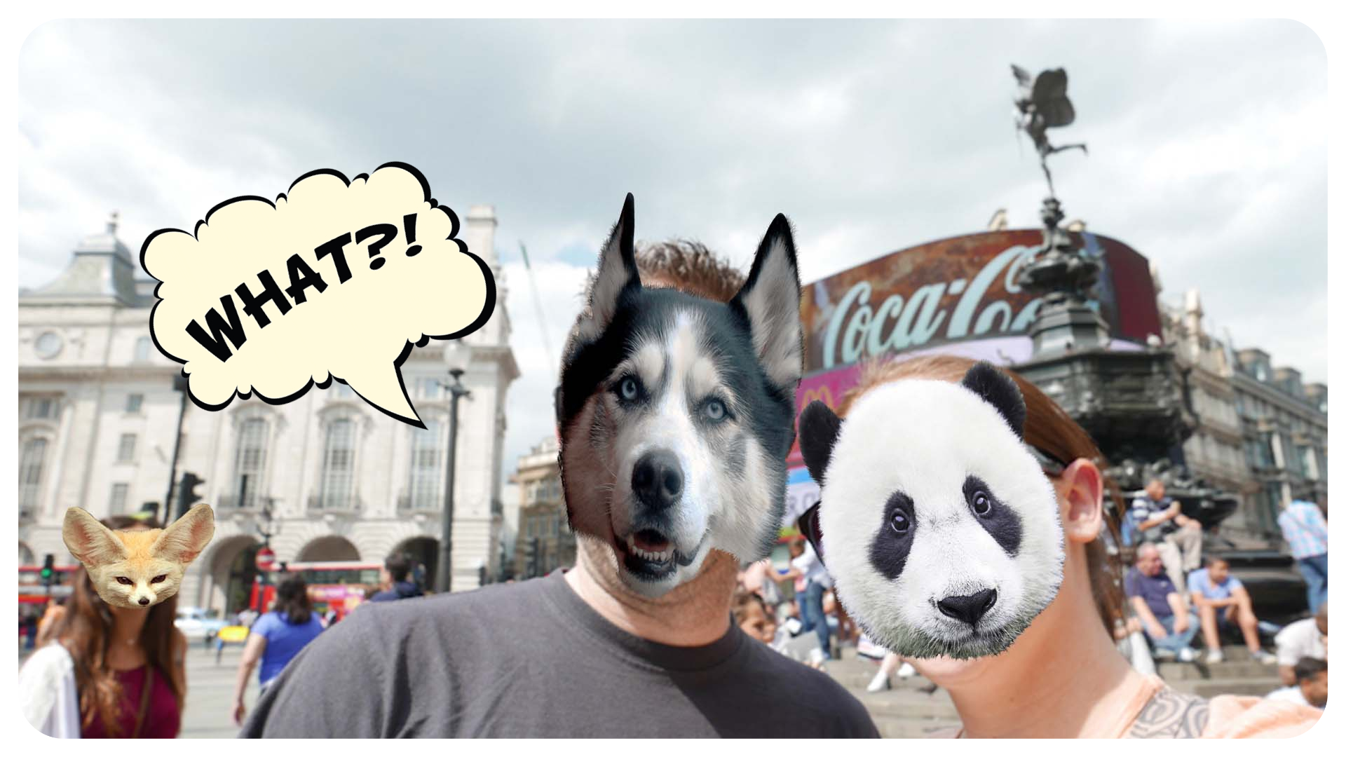 Animal Face App on Amazon Appstore