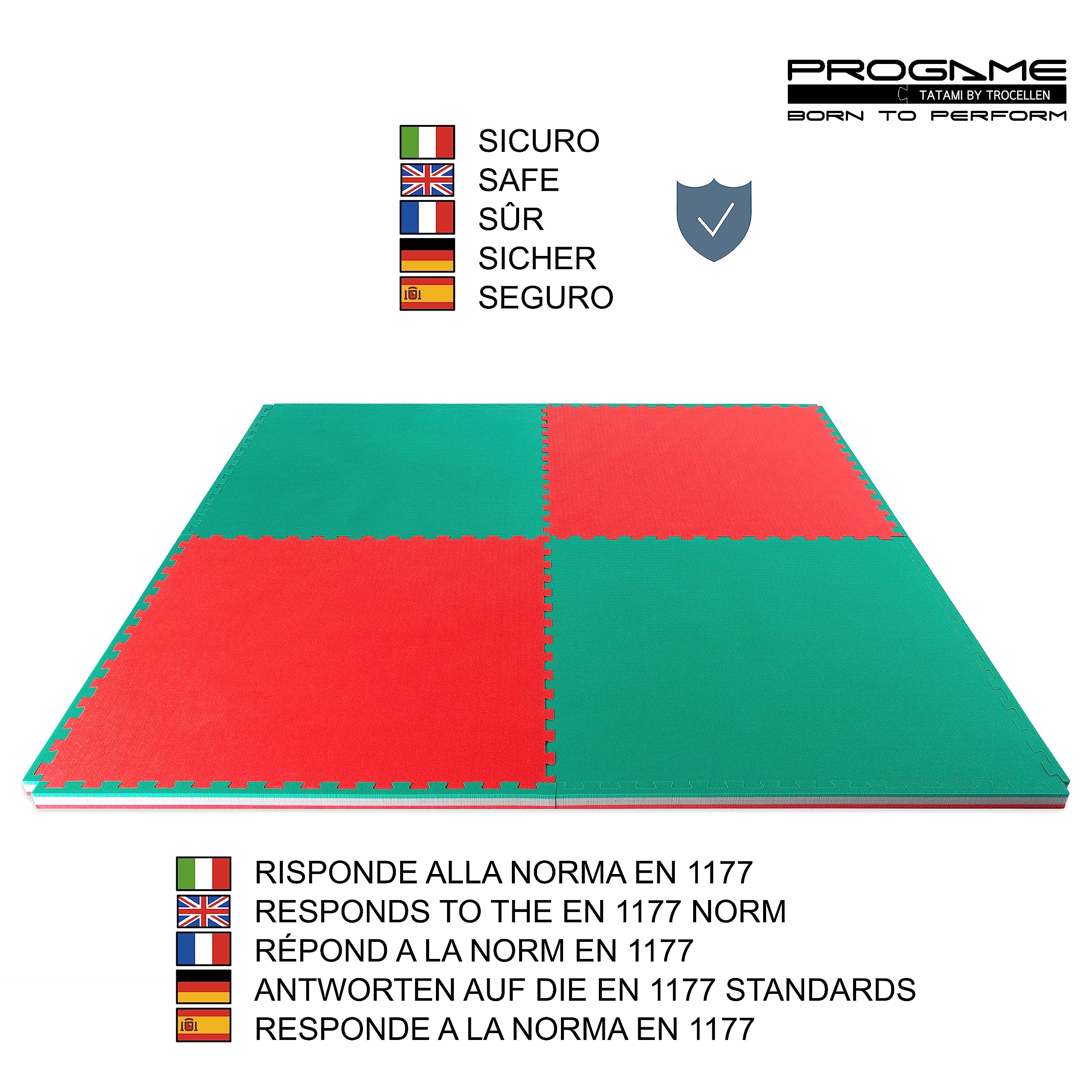 PROGAME Kit 4 pezzi Tatami Palestra 100x100x4 cm [Superficie Totale 200x200 cm] Performance PLUS Home Verde/Rosso. Tappeto Arti Marziali Professionale