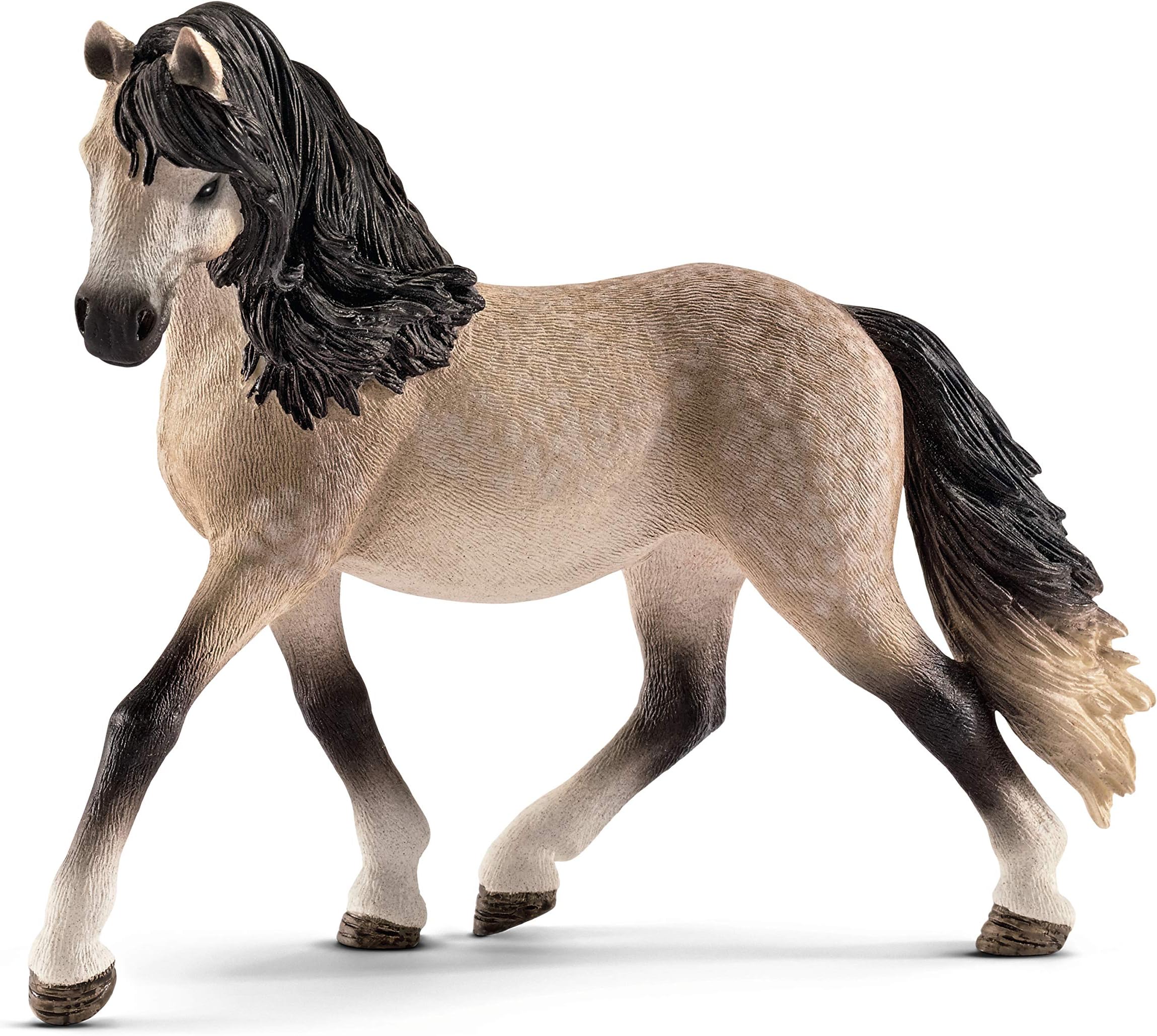 Scheich Andalusian Mare, Multi Color - Andalusians