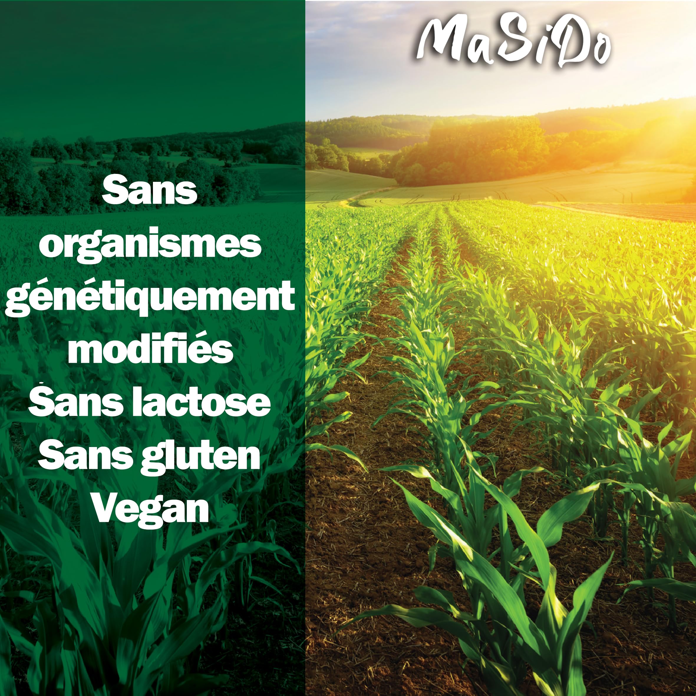 MSD MaSiDo maïs à pop-corn premium salé d'Allemagne avec sel de l'Himalaya, maïs Butterfly en pack économique, sans OGM, végétalien, sans gluten, sans lactose (2x 0,5 kg paquet salé)