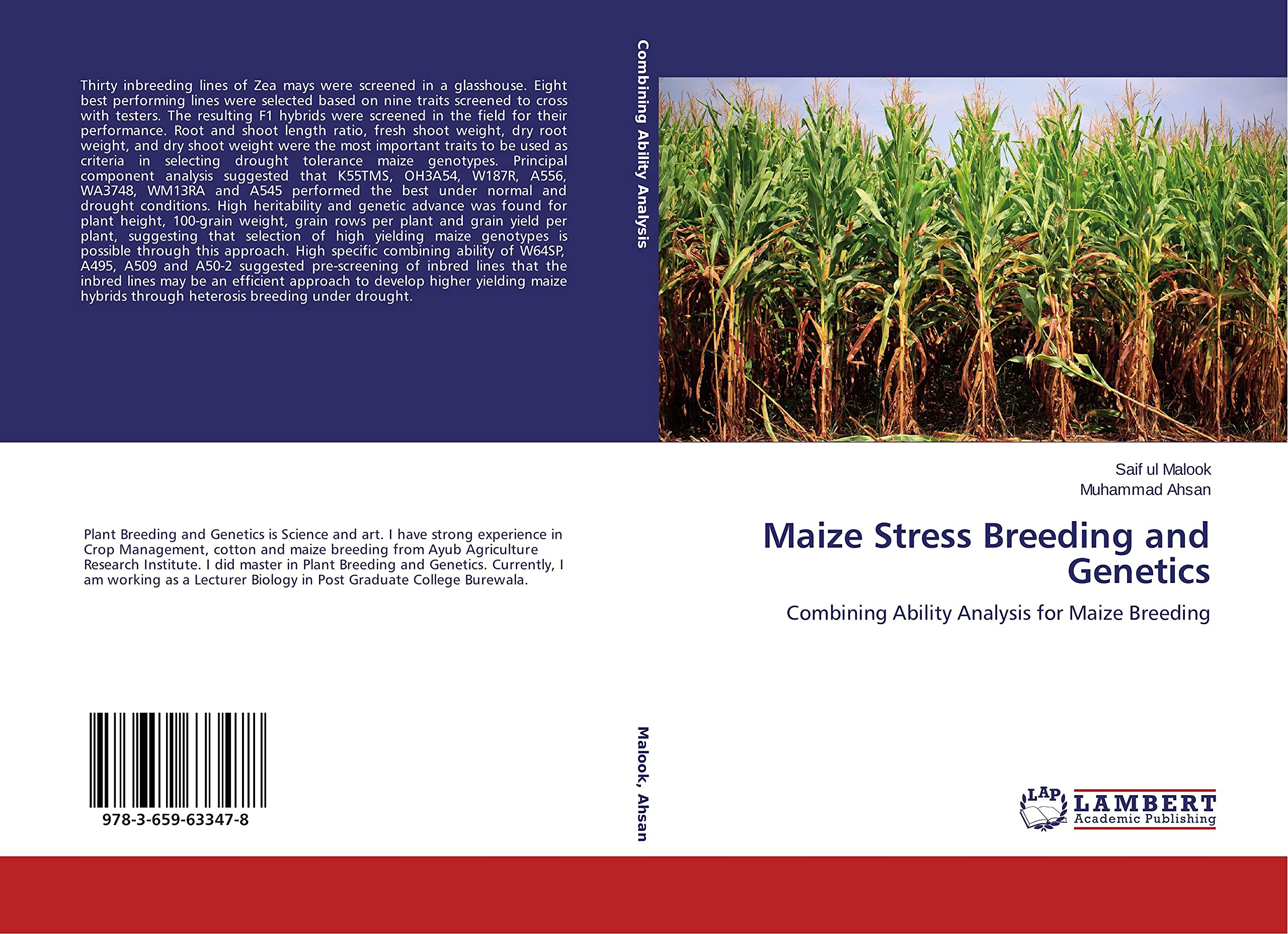 Maize Stress Breeding and Genetics