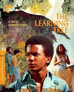 The Learning Tree (The Criterion Collection) [DVD]