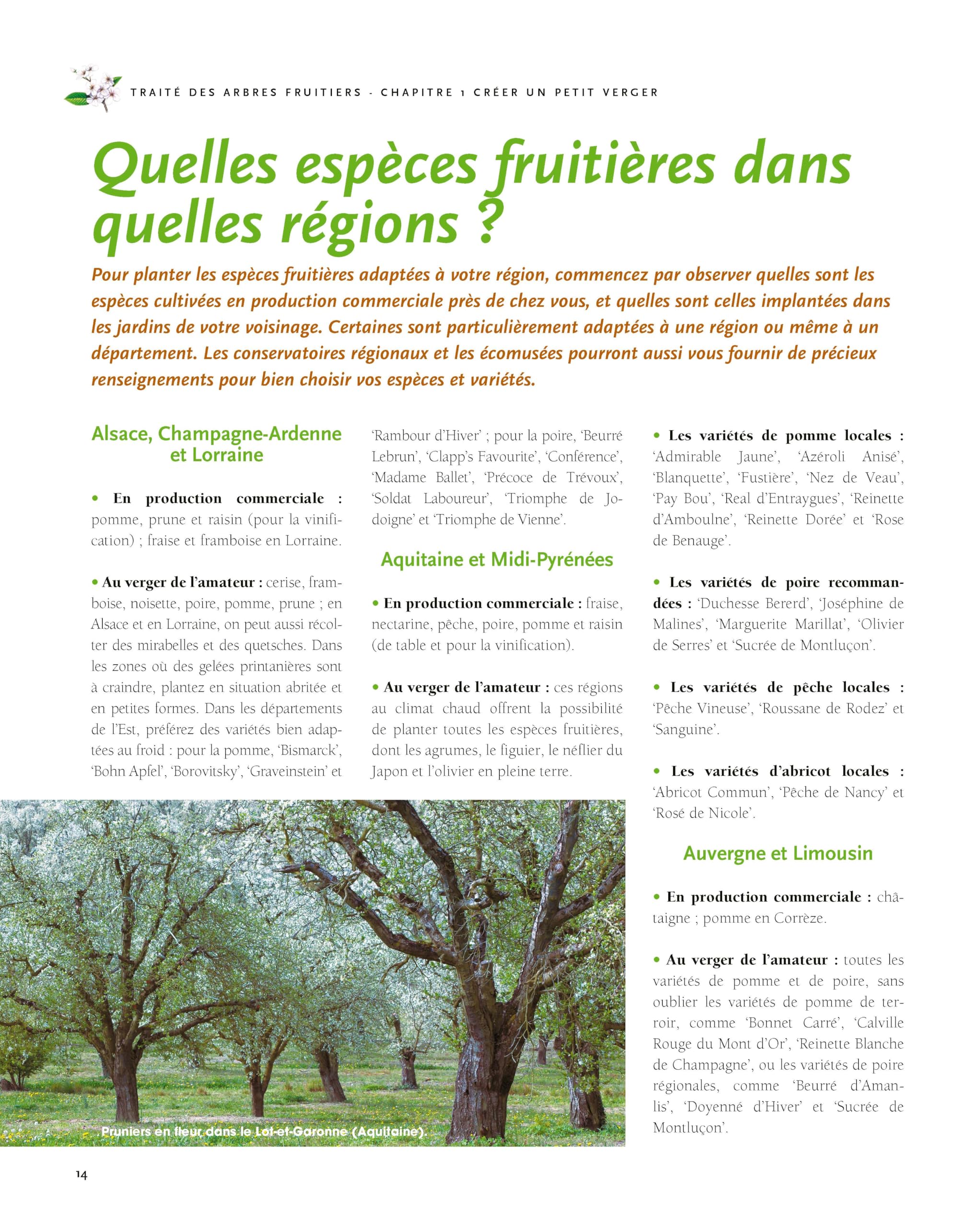 Le traité Rustica des arbres fruitiers