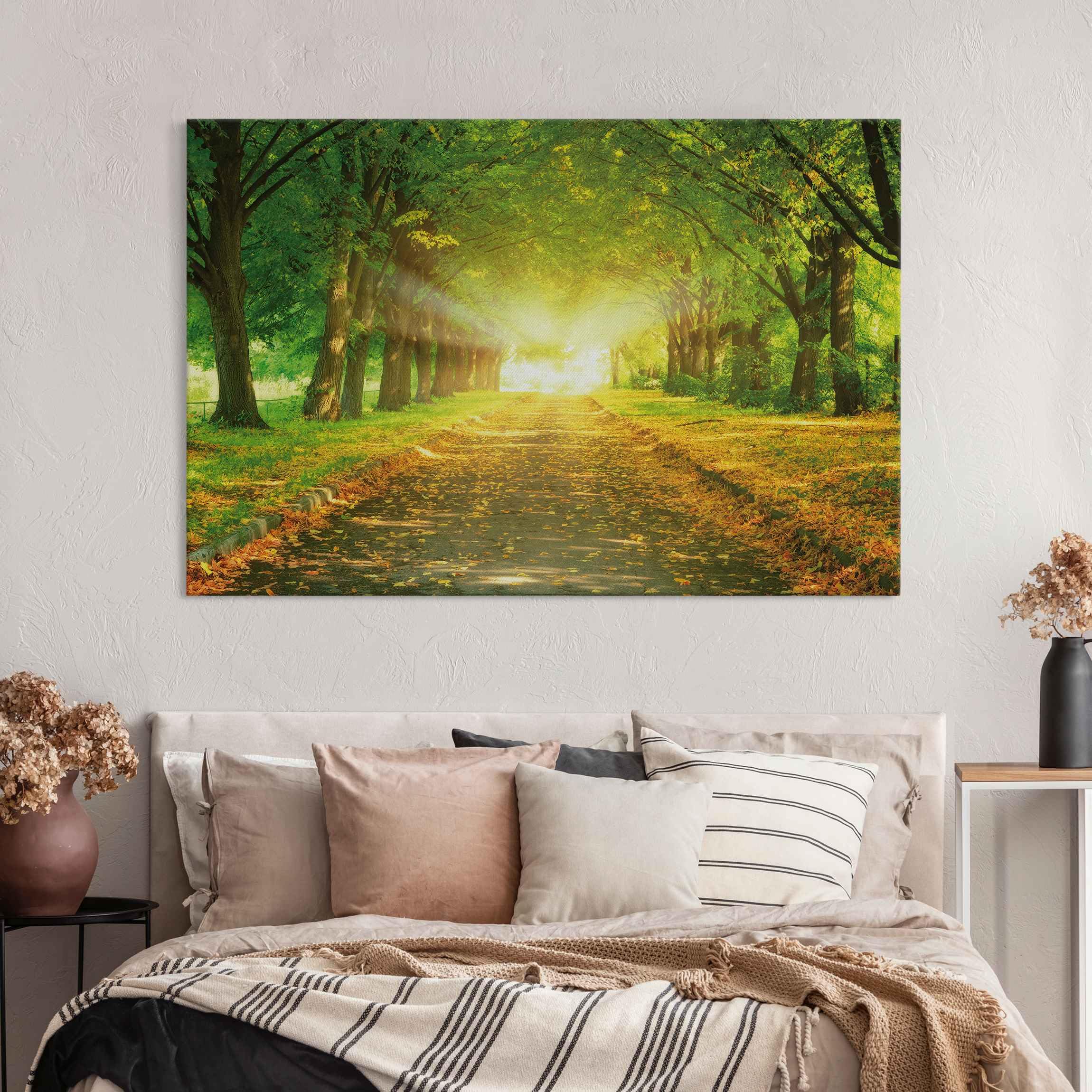 micasia Akustikbild Wald Bäume Natur Schallschutzbild 4cm Keilrahmen & Schallabsorber - Baum Modern grün Wohnzimmer Schlafzimmer Bild für bessere Raumakustik 1672 (150x100cm)