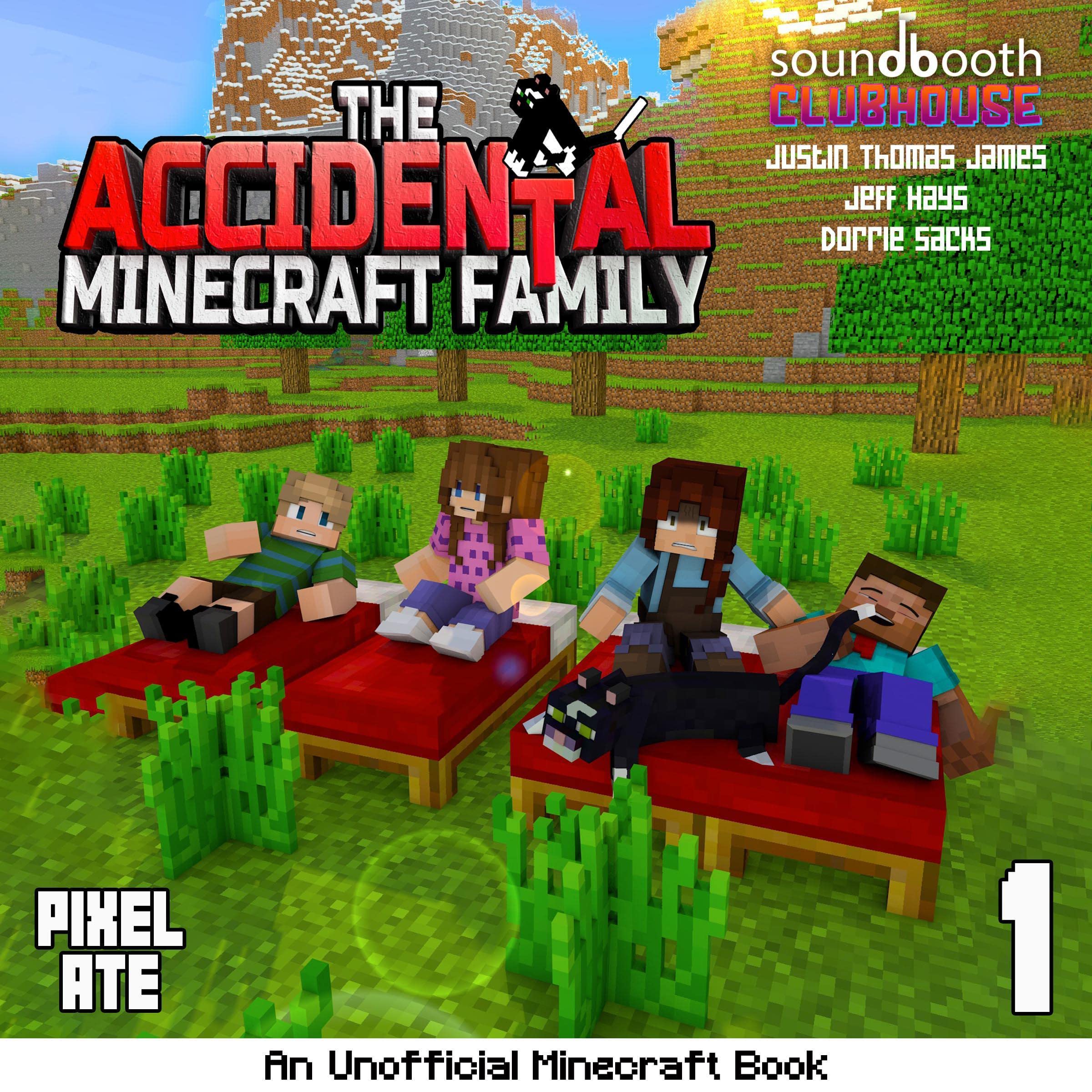 Cover art for The Accidental Minecraft Family: Book 1