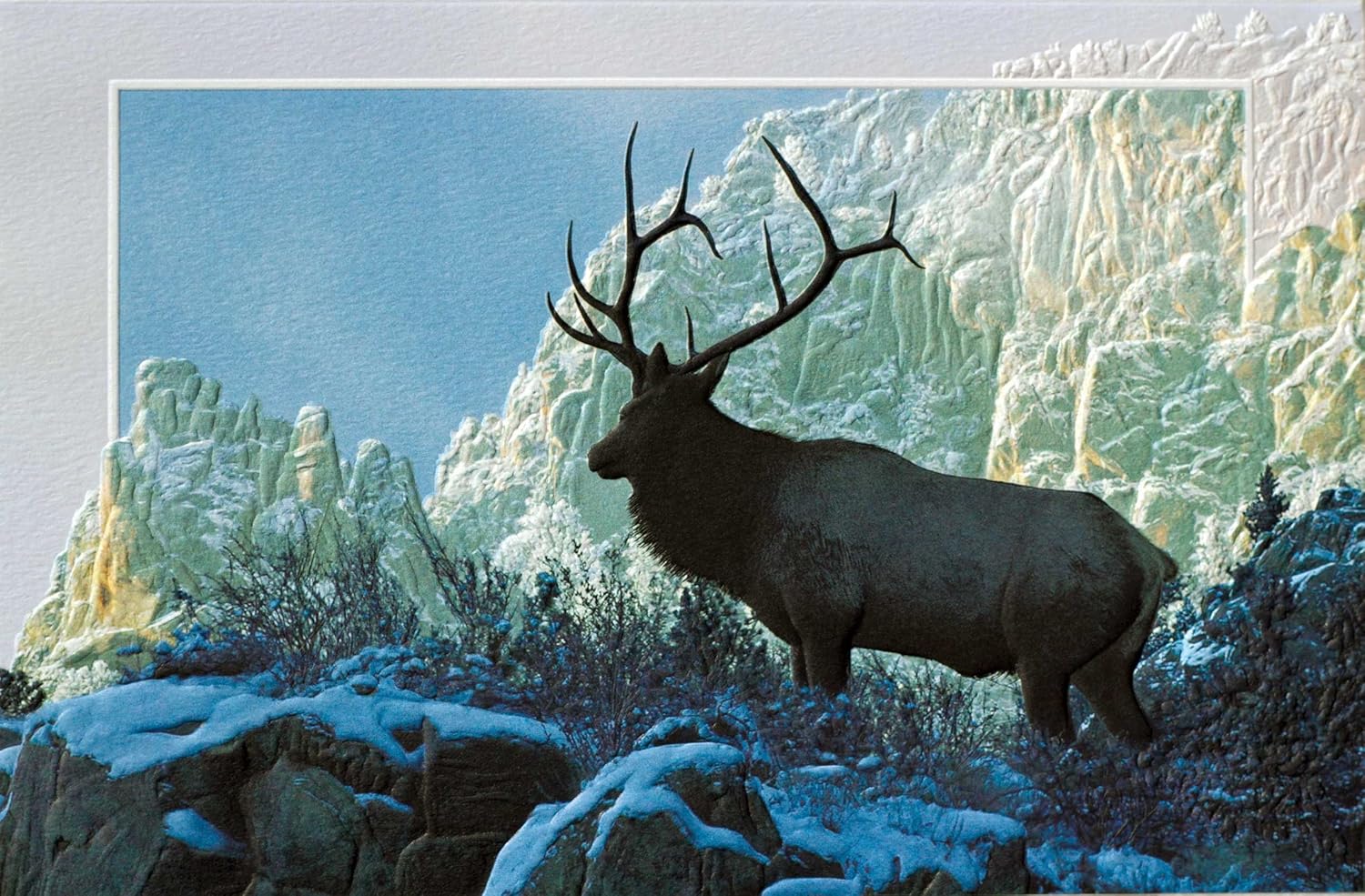 Embossed Christmas Greeting Cards Boxed Set – Top of the World, 16 Count