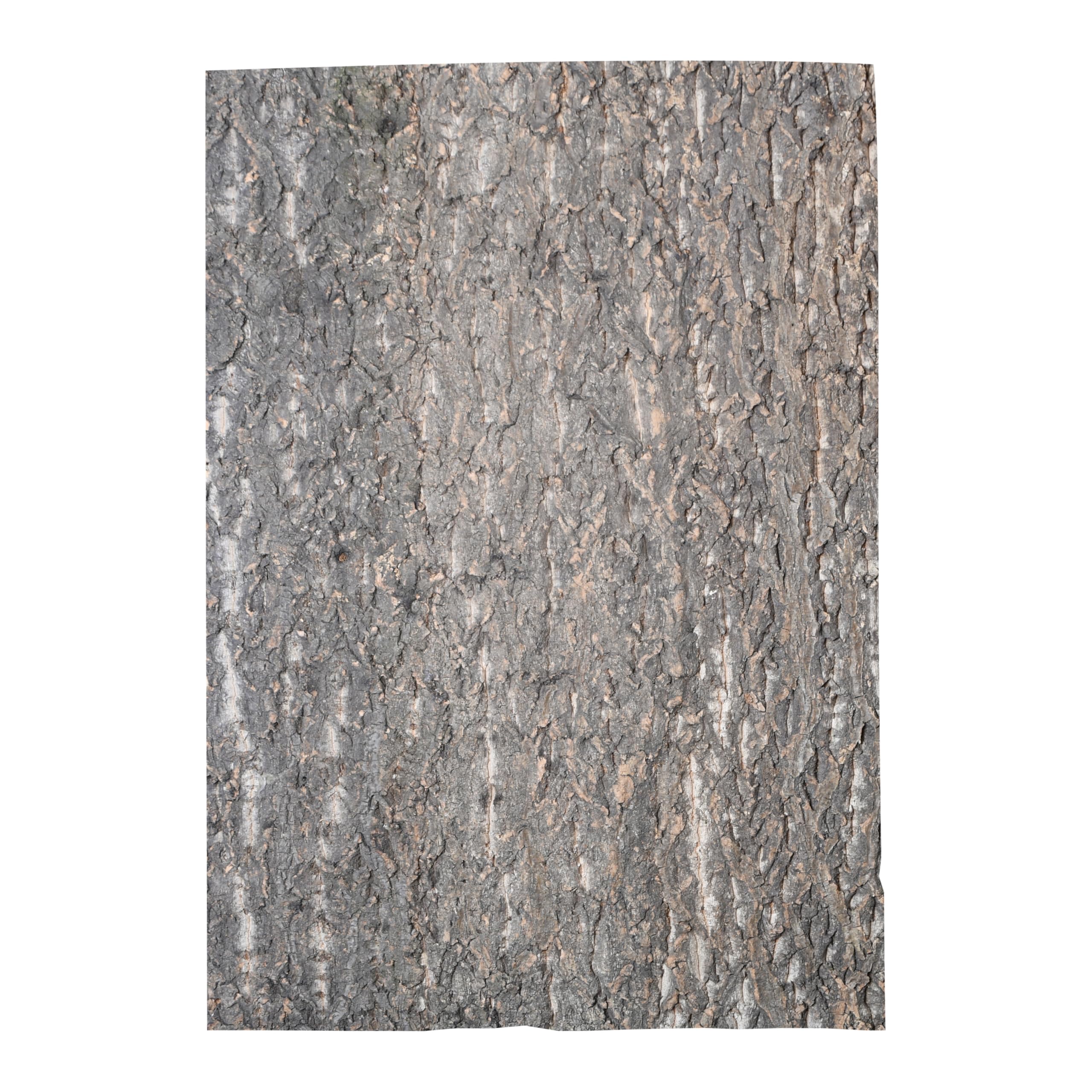 Lucky Reptile KBG-6 Rough Cork Background, 60 x 30 cm