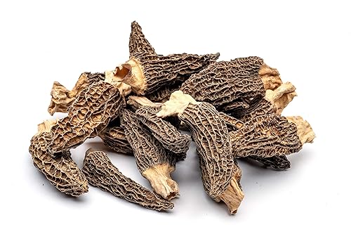 Miniatura 3 de Hongos secos de Morel Slofoodgroup (Morchella conica) Hongos de morel Gourmet, diferentes tamaños de morels disponible
