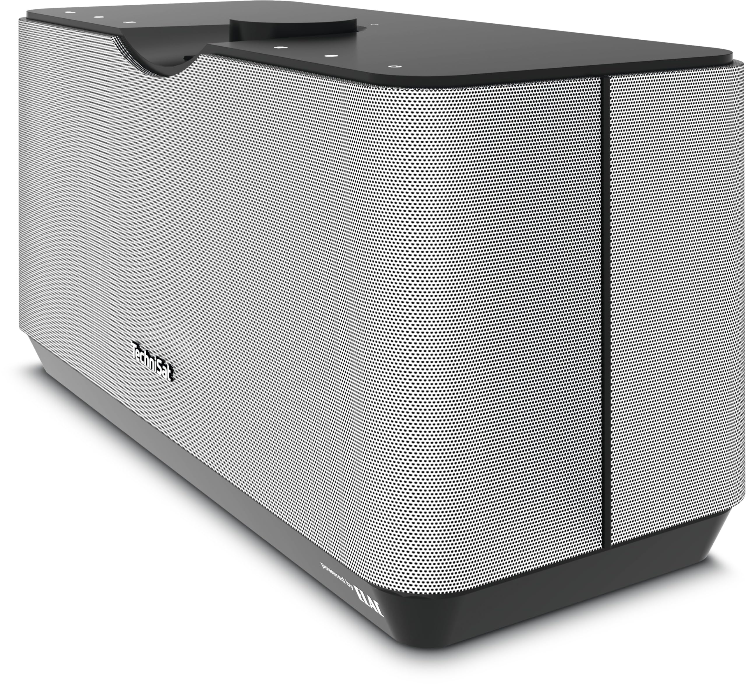 TechniSat AUDIOMASTER MR3 90 Watt WLAN-Lautsprecher Internetradio Multiroom Speaker Bluetooth schwarz/silber