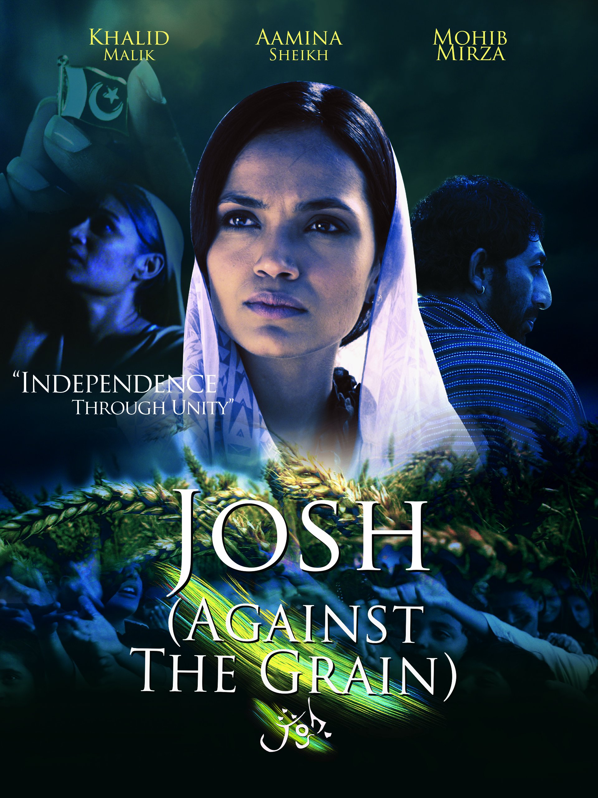 Josh Against the Grain DVD pelicula importada USA formato fisico original cine norteamericano
