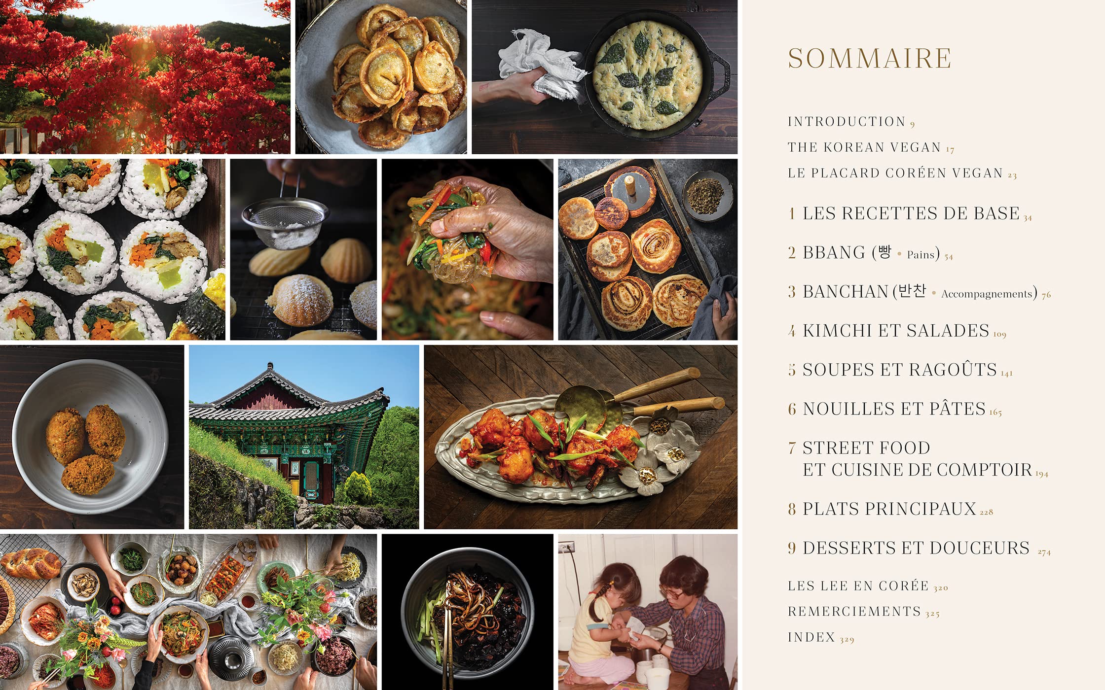 The korean Vegan: Cuisine coréenne traditionnelle et familiale