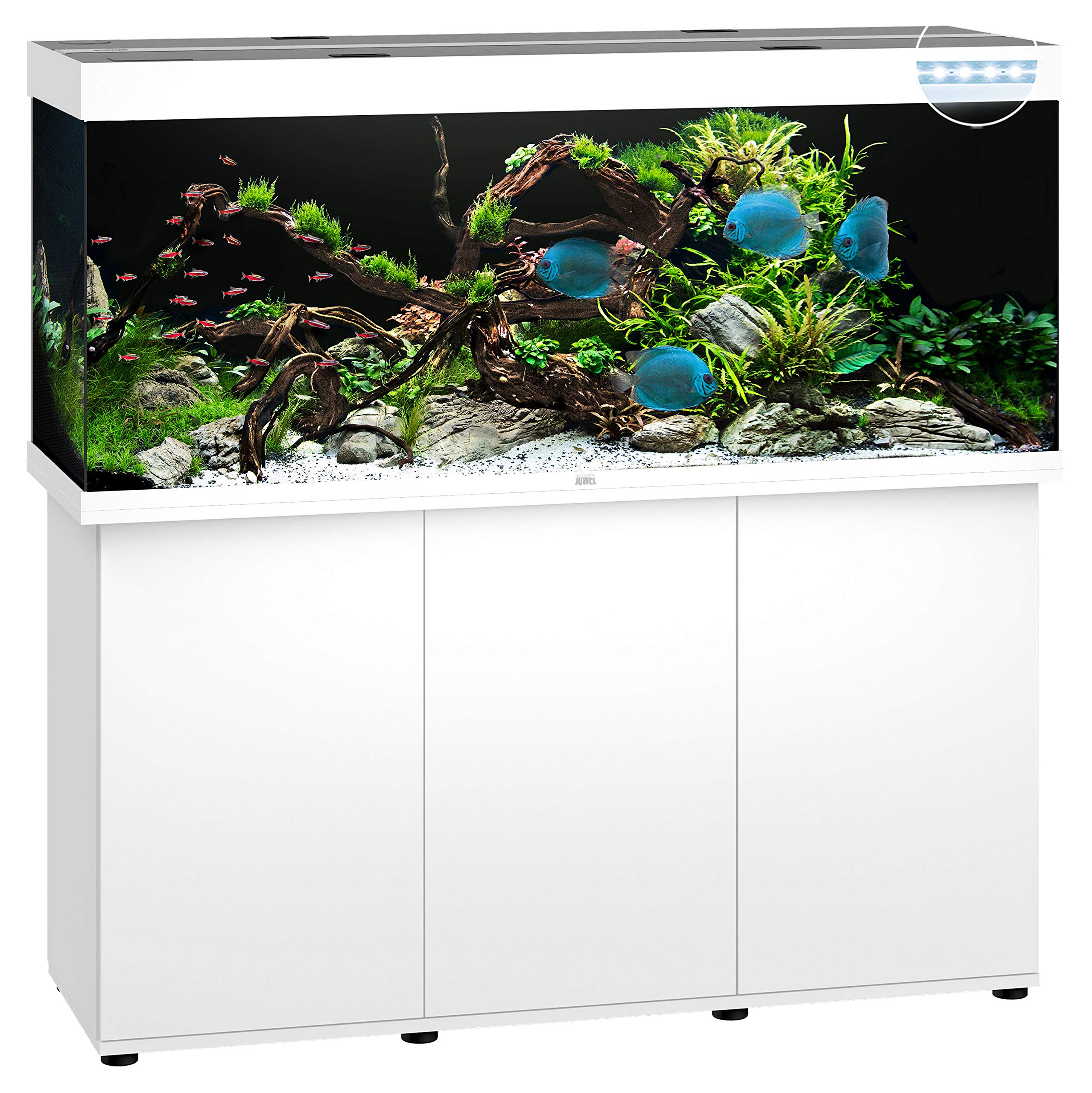 Juwel Aquarium, Rio 450 LED, Acquario con mobiletto SBX