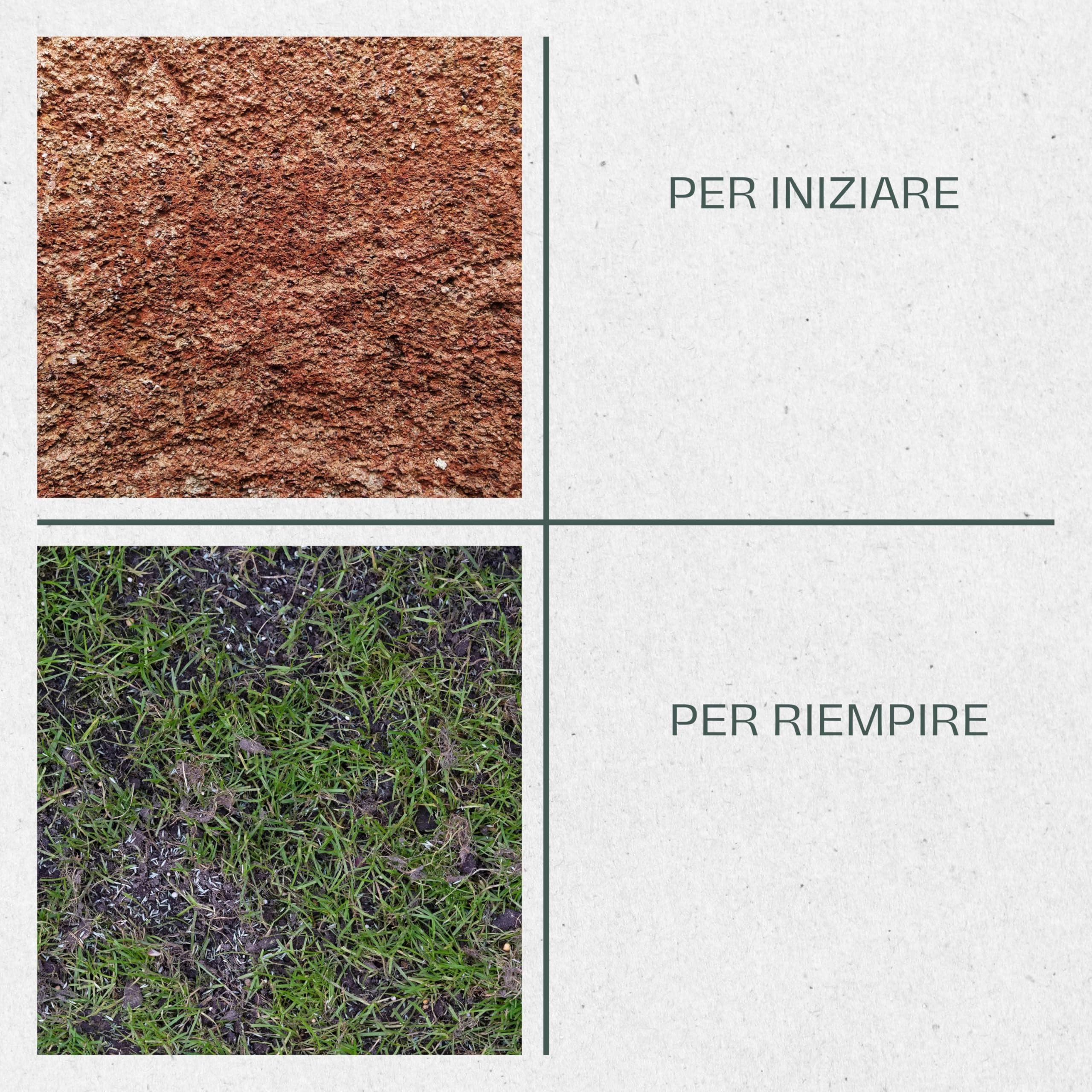 La Plaine Chassart - Semi per Prato Resistente 20KG - Crescita Rapida e Gazon Sempre Verde