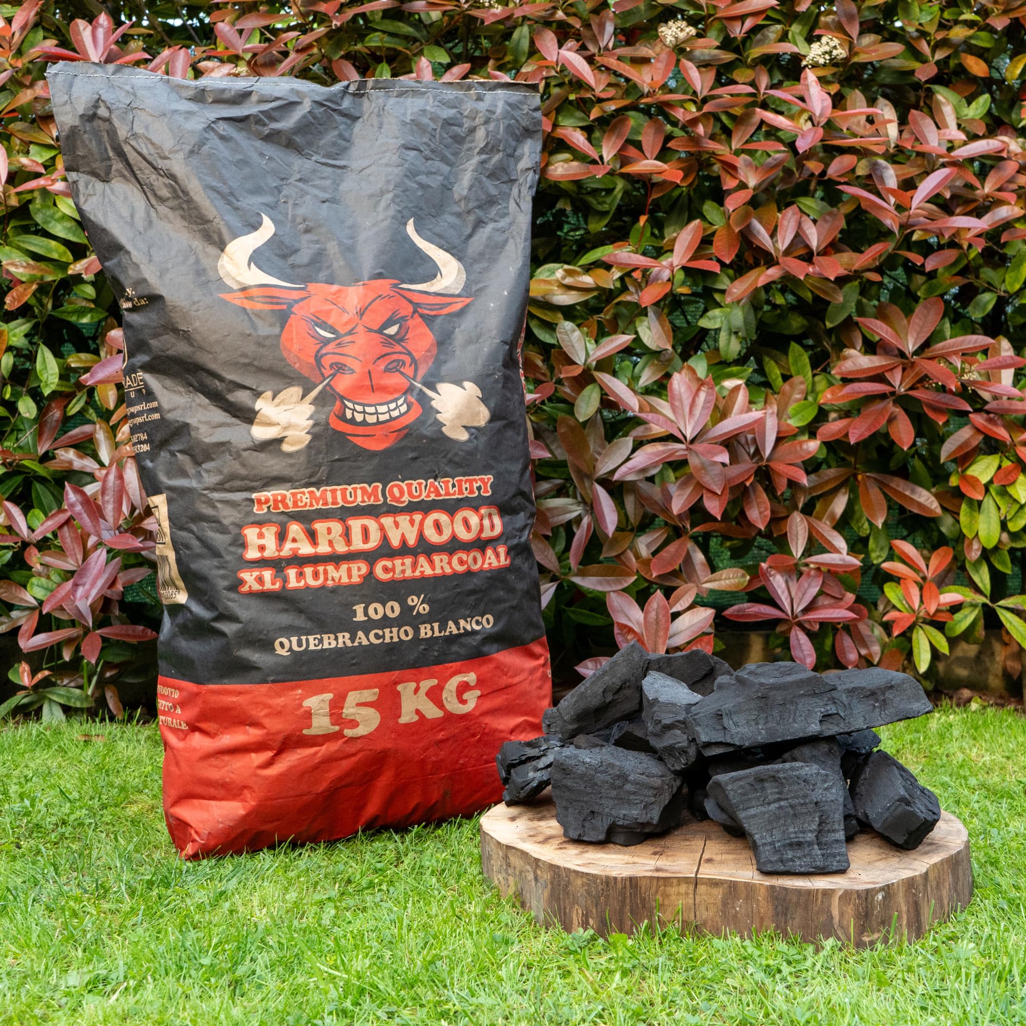TORO - Charbon TORO pour barbecue, composé de Quebracho Blanco du Paraguay, idéal pour tout type de cuisson, l'arôme exalte saveurs et parfums, grande taille, 15 kg