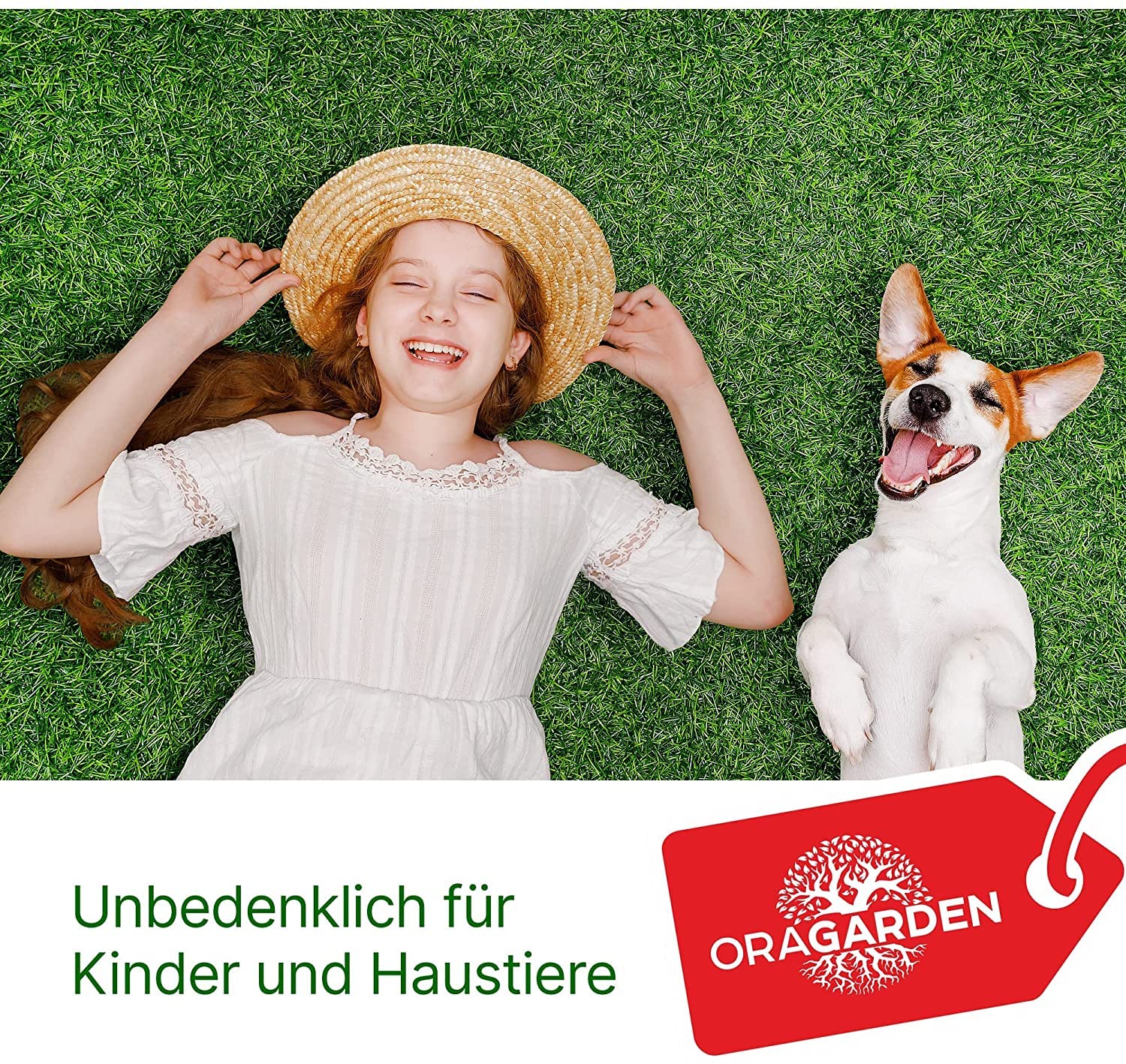 Rasenpellets Dürreresistenten für Schnellkeimenden Rasen - Rasensamen für Robusten und Widerstandsfähigen Rasen - Rasensaat zur Ansaat und Nachsaat für Sportrasen – Geeignet für Schatten… (10 Kg)