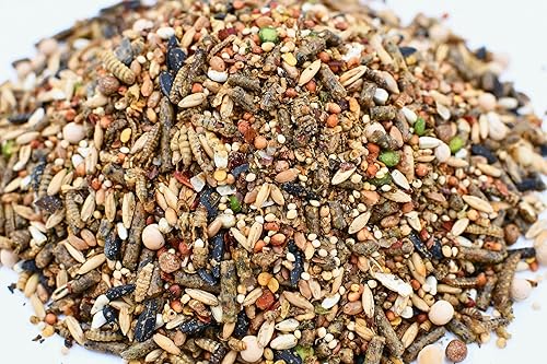 Miniatura 2 de LITTLE FARMER PRODUCTS Chicken Fun-DOO - Golosina de pollo sin OMG, sin soja  Mezcla de gusanos de harina, verduras y hierbas de aves de corral de