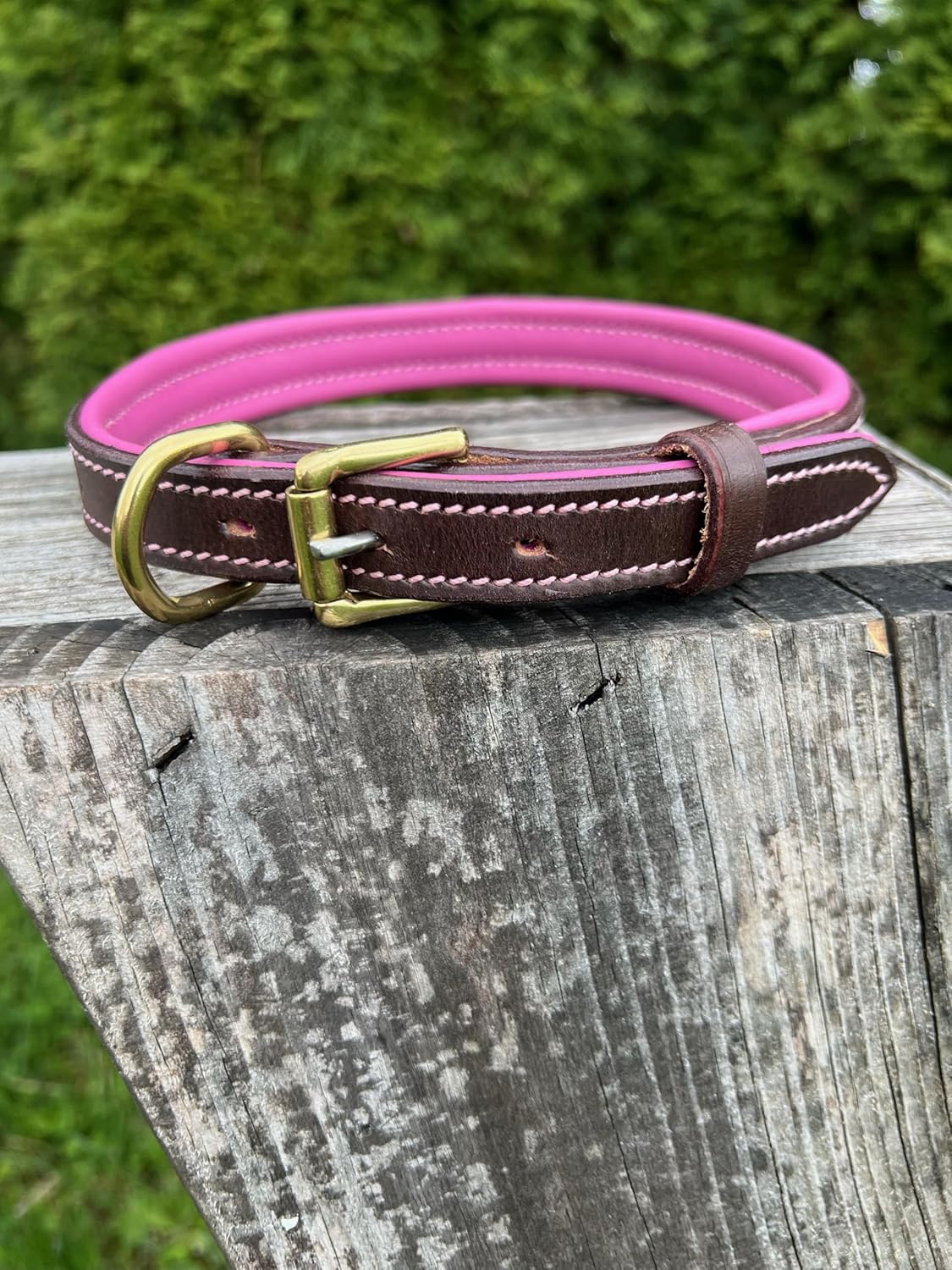 Leaders Leather Dog Collar with Customized Name Plate (Pink/Brown Medium/Large (15"-19"))