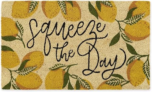 DII Fun Greetings - Tapete de fibra de coco natural para interiores y exteriores