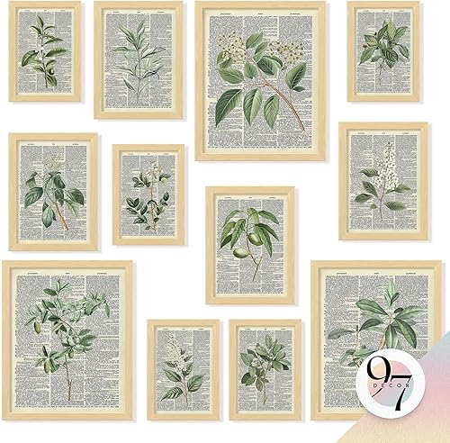 97 Decor Arte de pared botánico vintage, pósteres de plantas verdes para estética de habitación, imágenes de plantas verdes retro, impresiones