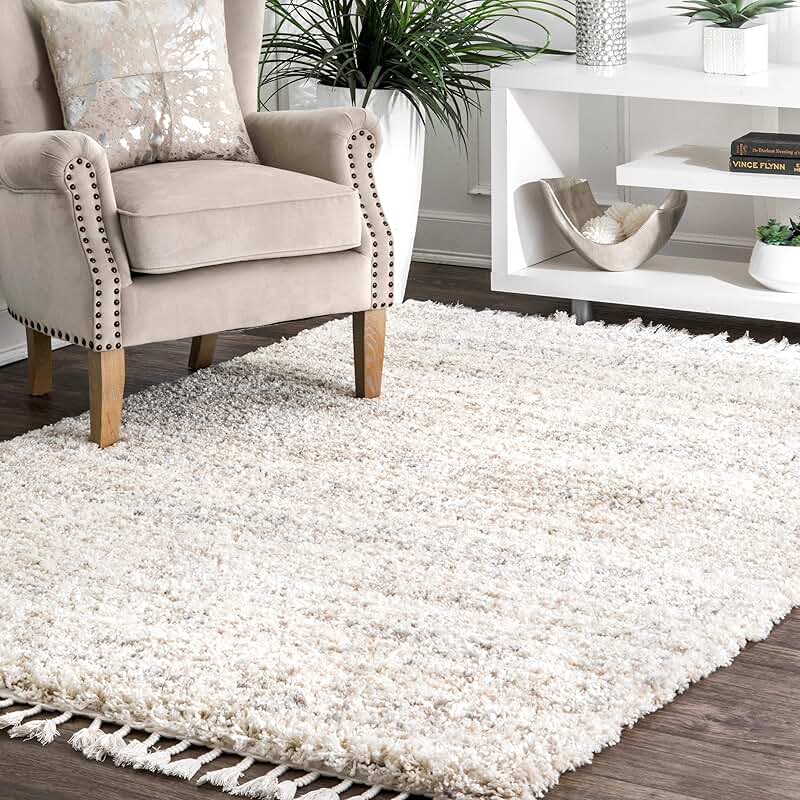 Amazon.ca area rug 9x12
