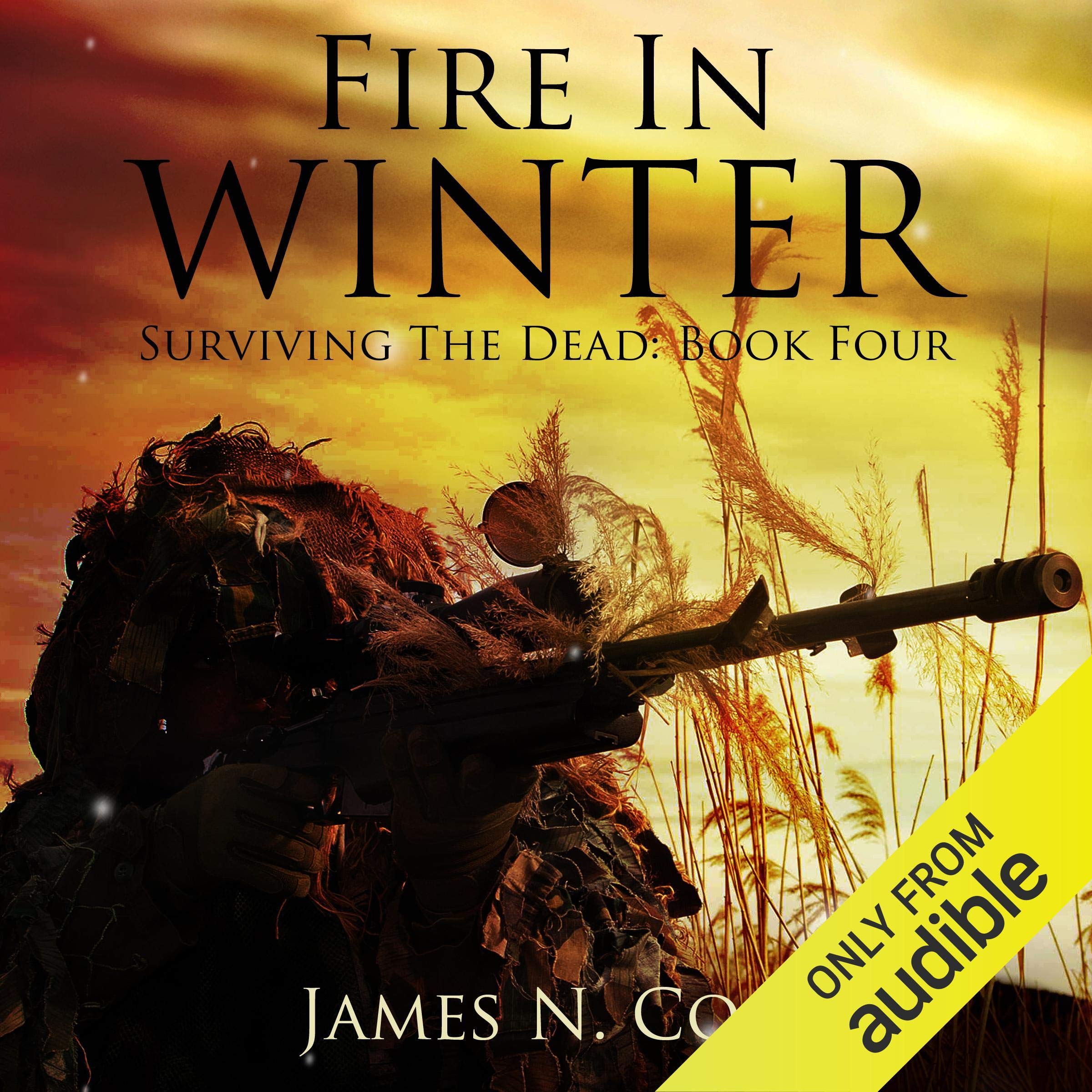 Cover art for Fire in Winter