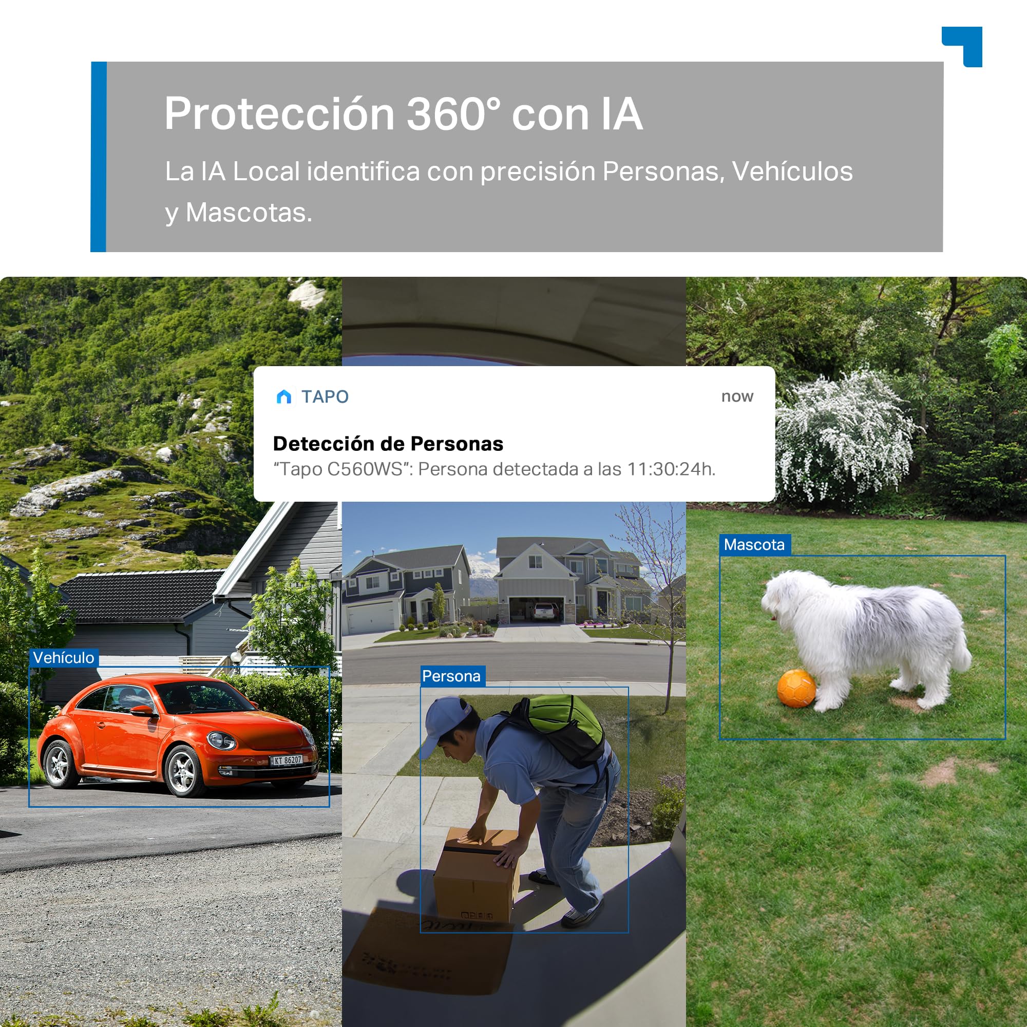 Tapo C560WS - Cámara de Vigilancia WiFi Exterior 360º, 4K 8MP, Detección IA | Detección Movimiento, Personas, Mascotas, Vehículos y más. Reconocimiento Facial. Visión Nocturna Color. Alarma Luz /Sonido.