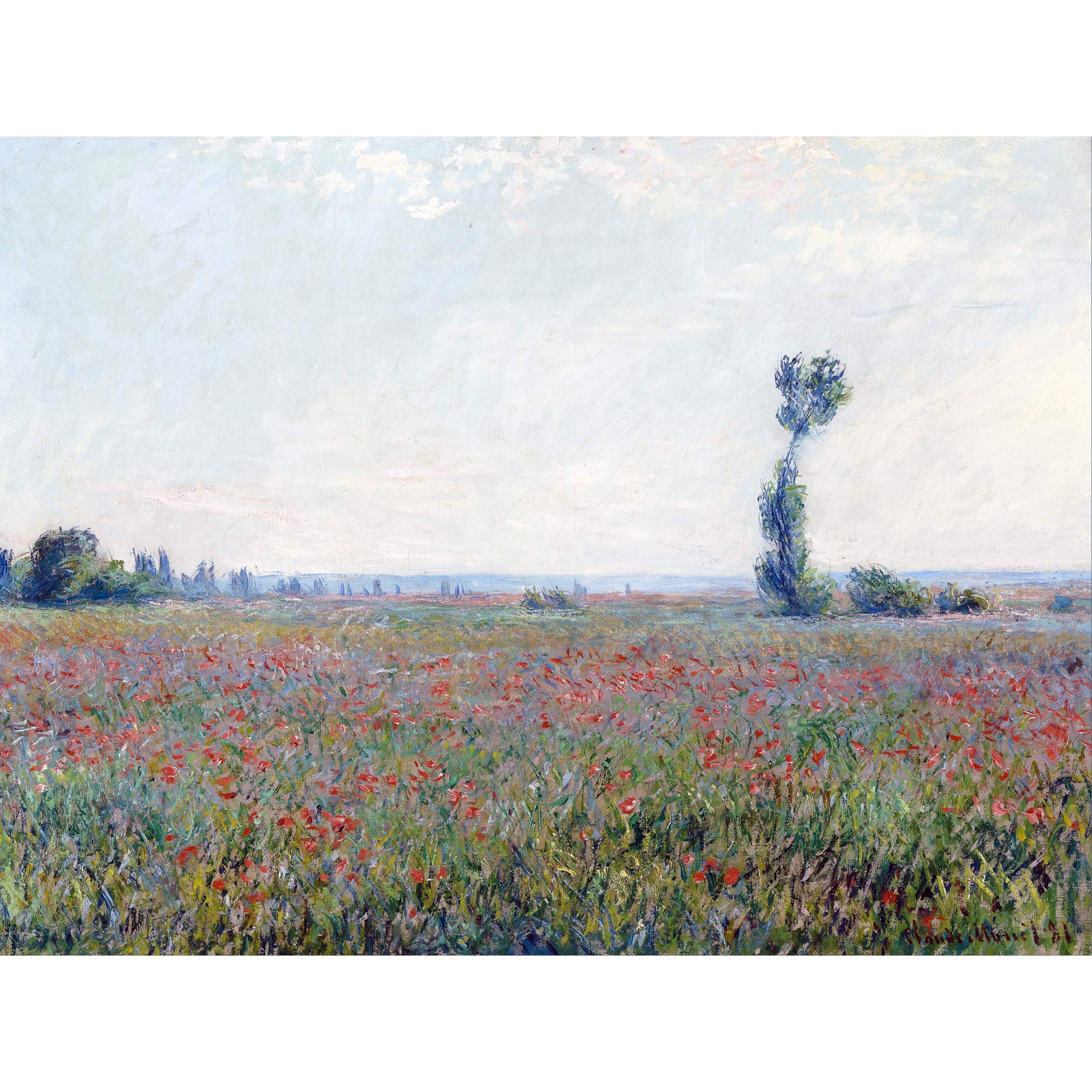 Claude Monet Poppy Field Large Art Print Poster Wall Decor Premium Mural