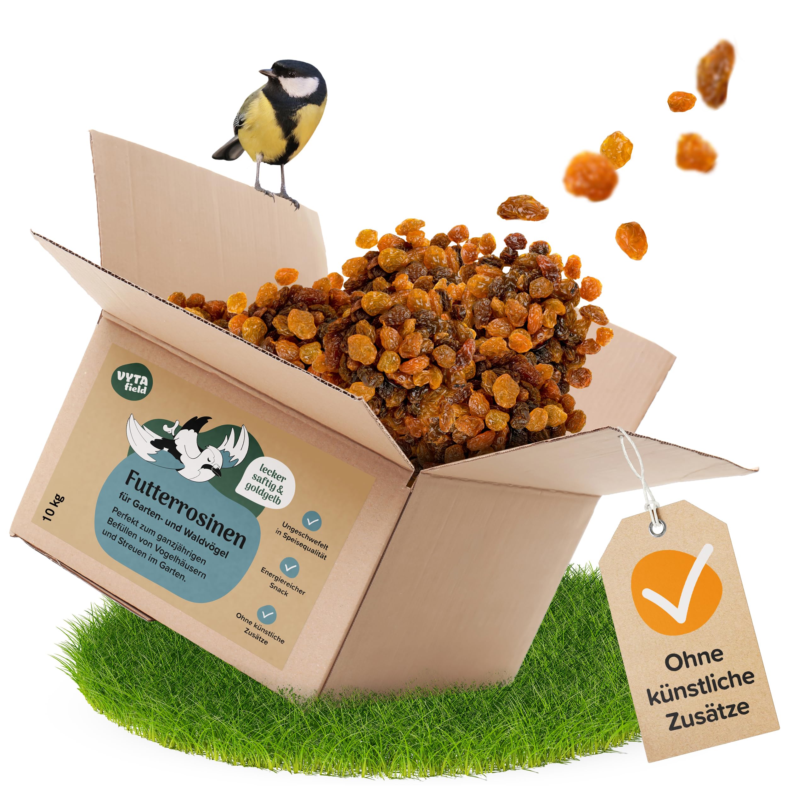 Pasas de alimentación para pájaros | Sin azufre en calidad alimentaria | Pasas de alta energía para aves silvestres | 10 kg pasas para mirlos y comedores de frutas | Alimento para pájaros