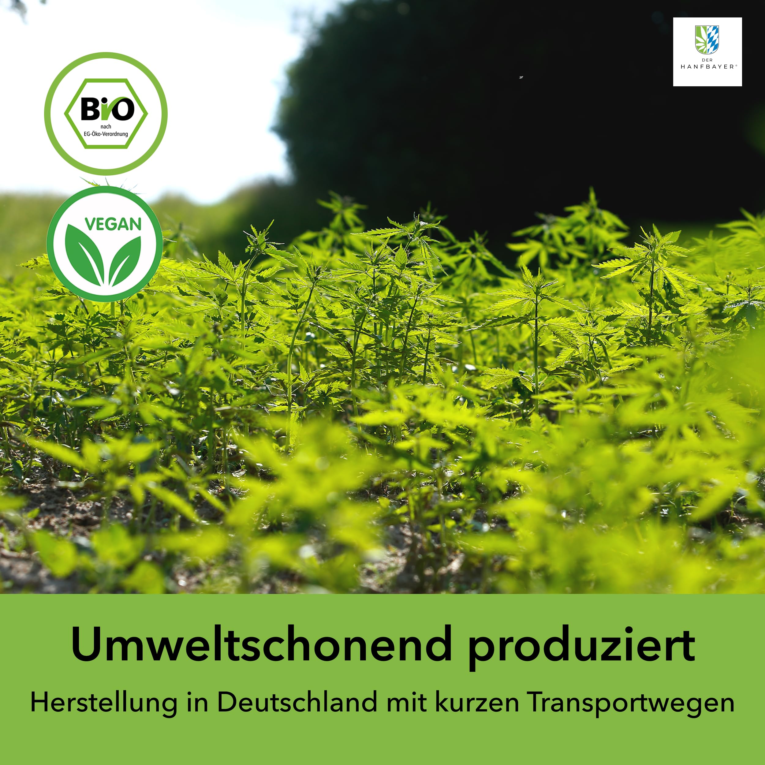 regionale Hanfsamen geschält Bio 1kg [PROTEINREICHES SUPERFOOD] - inkl. LECKERER E-Rezepte - Vegan & Rohkostqualität - Reich an Protein, Omega-3 & Magnesium
