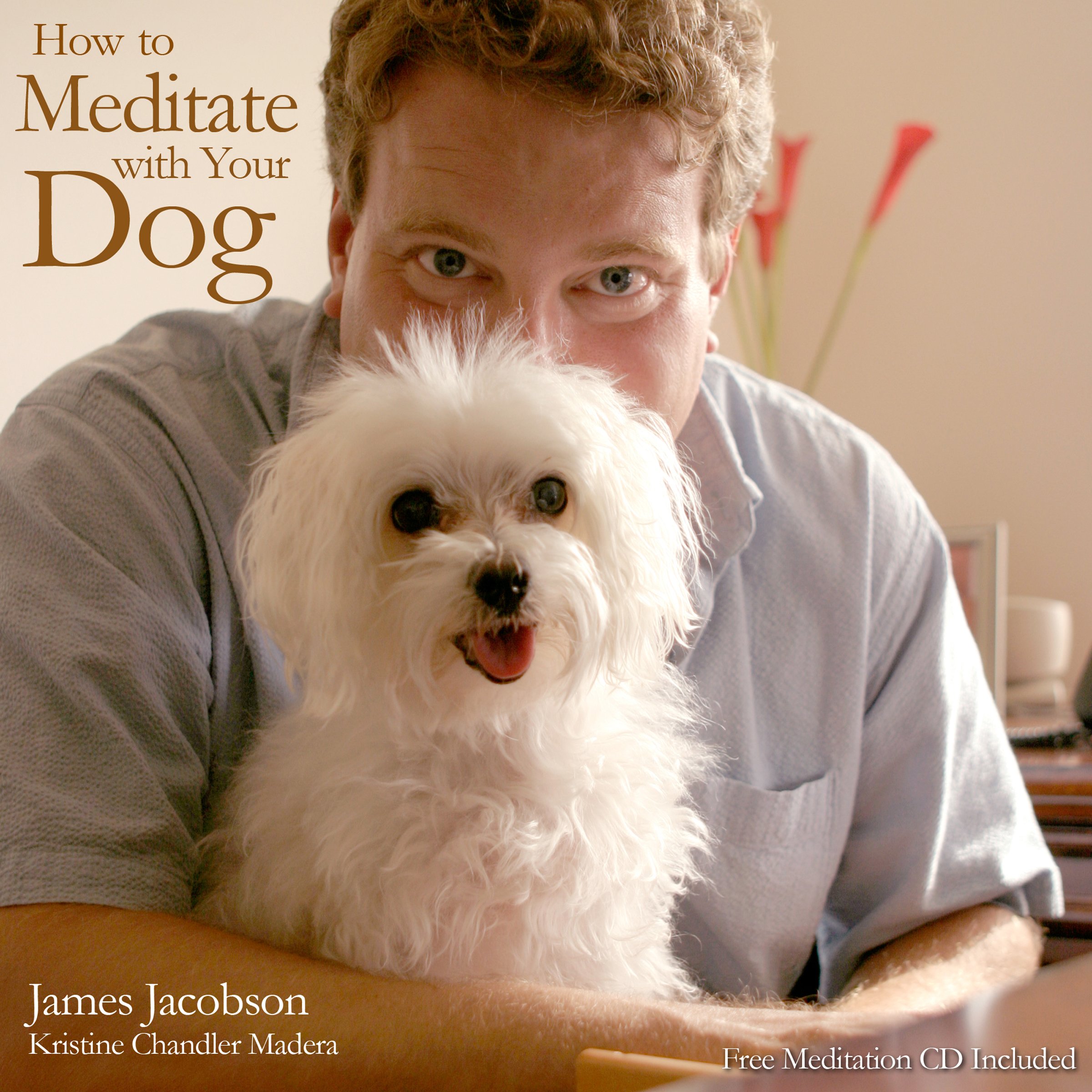 How to Meditate with Your Dog